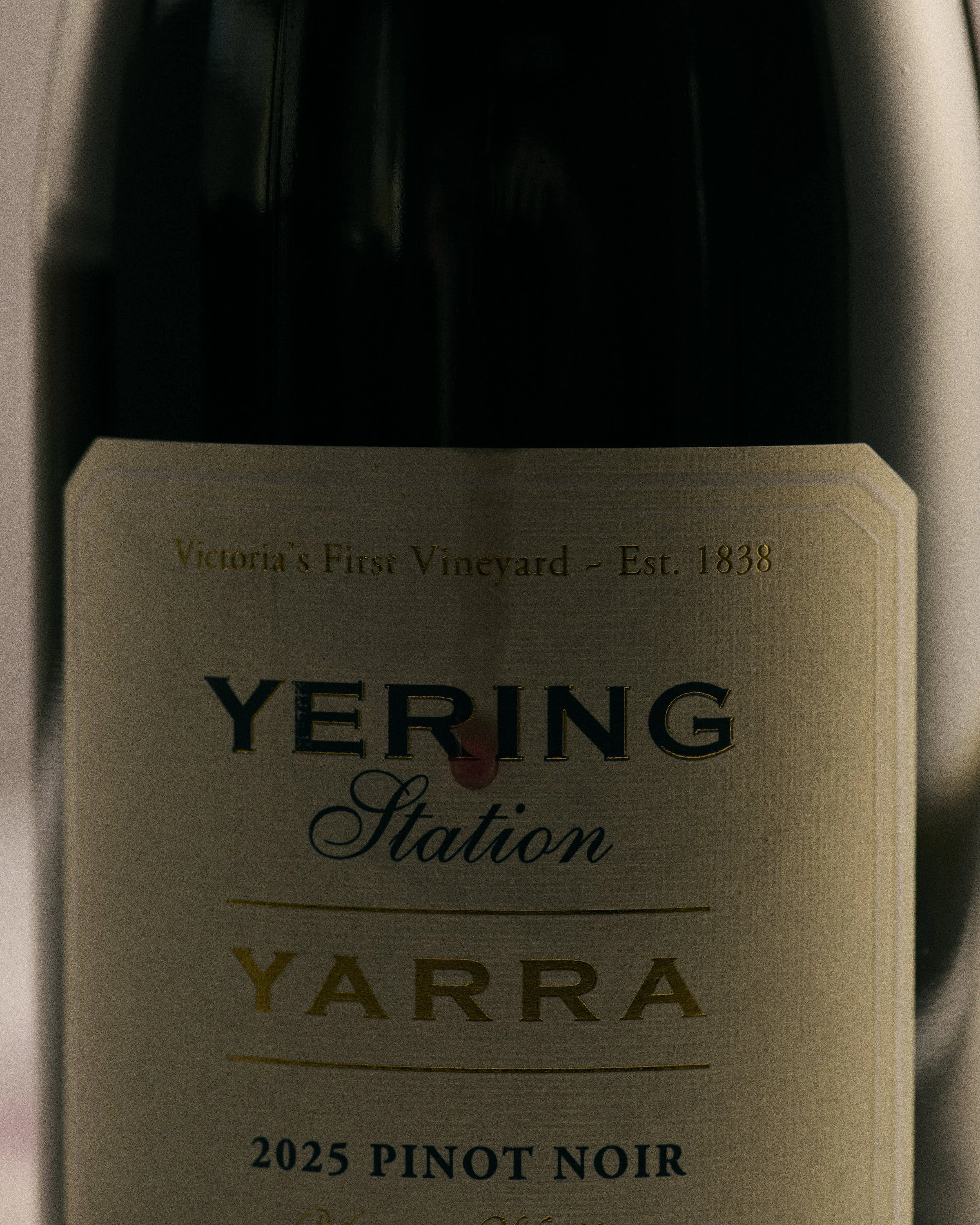 Yering_015.jpg