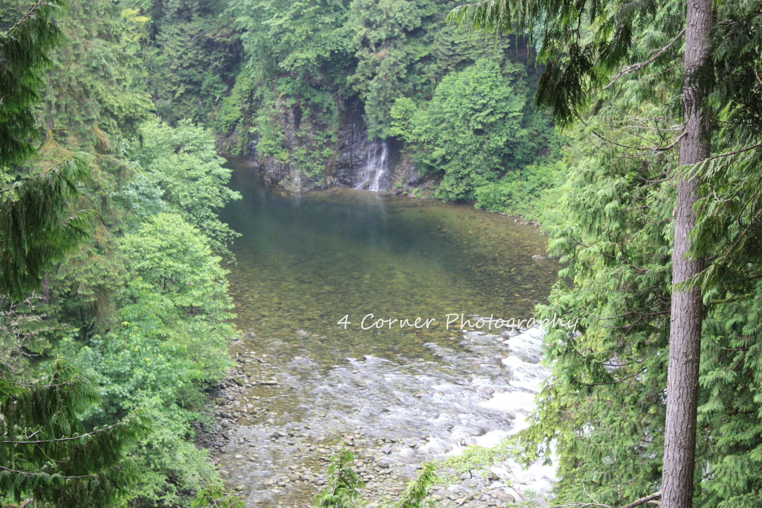 A peaceful river flowing through a dense forest with tall green trees and a small waterfall in the distance.