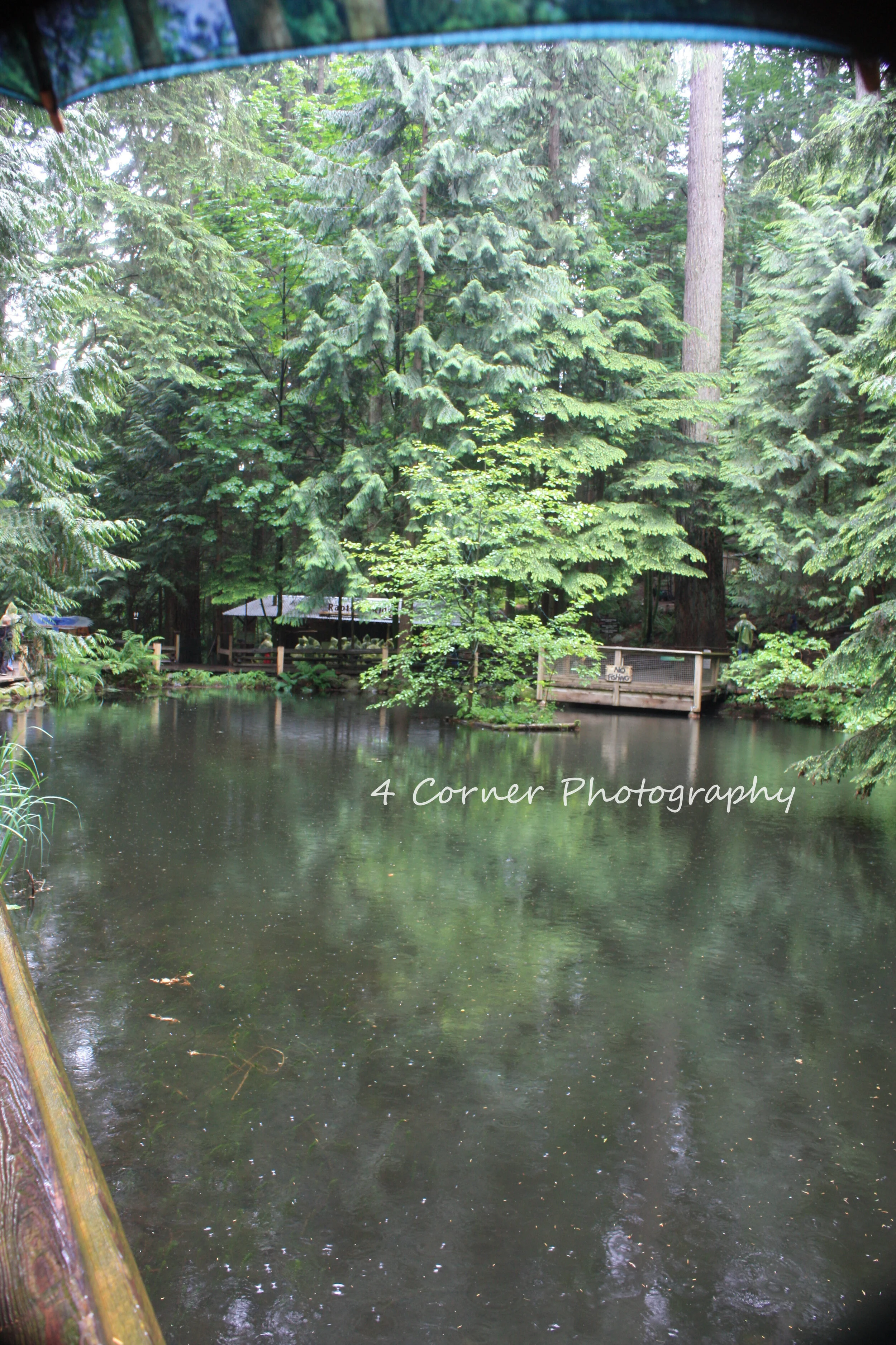 A peaceful scene of a pond surrounded by dense green trees with a small wooden bridge and a canopy in the background, viewed from under a canopy or umbrella.