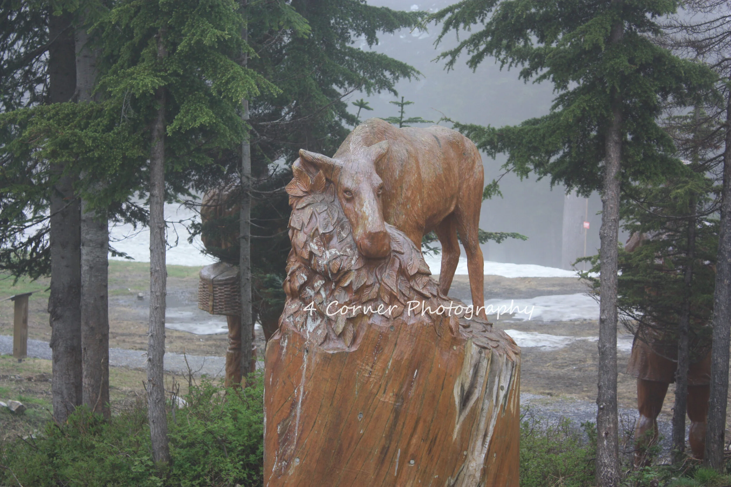 Wooden sculpture of a wolf's head and part of its body mounted on a wooden post, surrounded by trees with fog in the background.