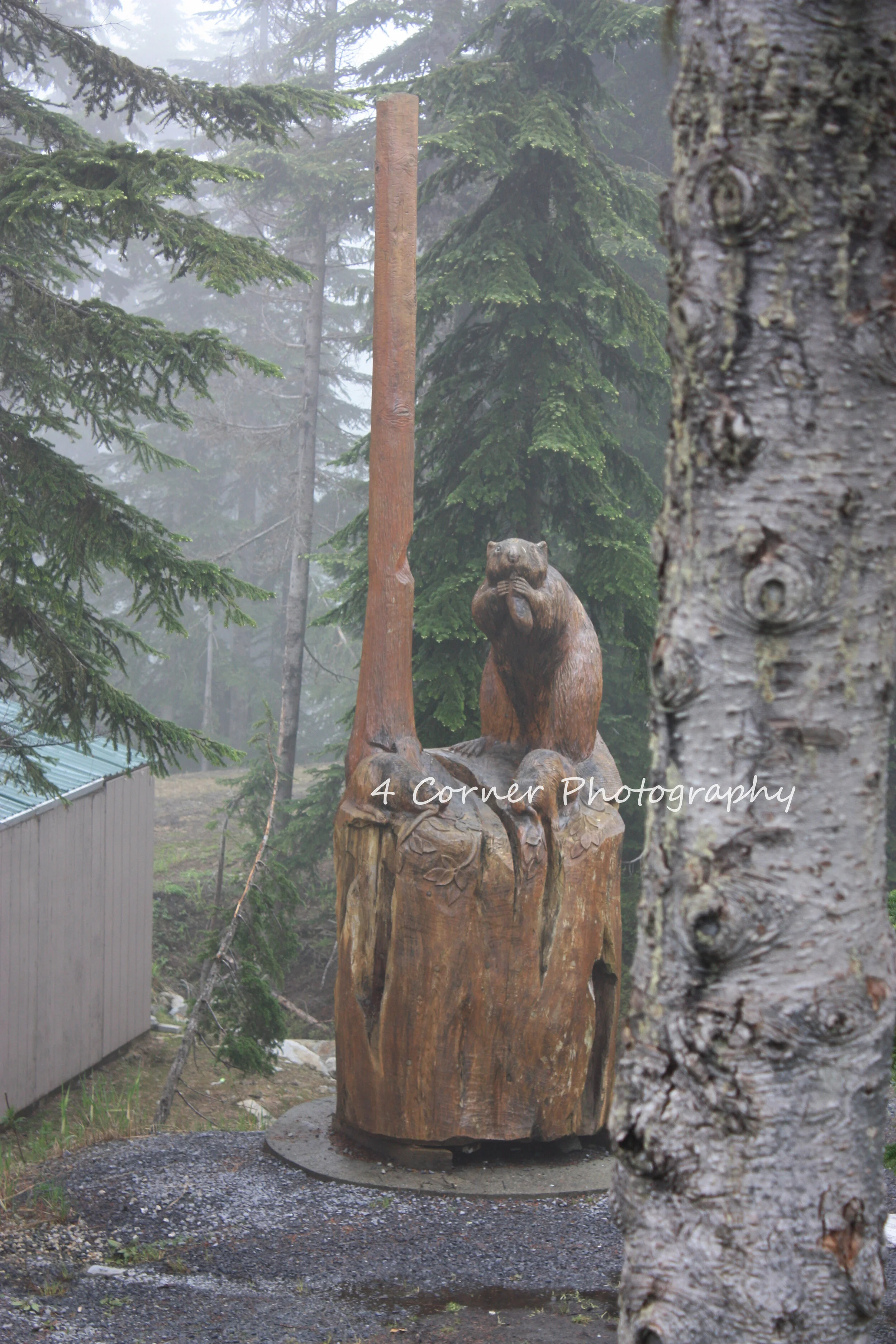 Wooden bear sculpture on a tree stump with a tall wooden pole behind, surrounded by trees, in a foggy forest setting.
