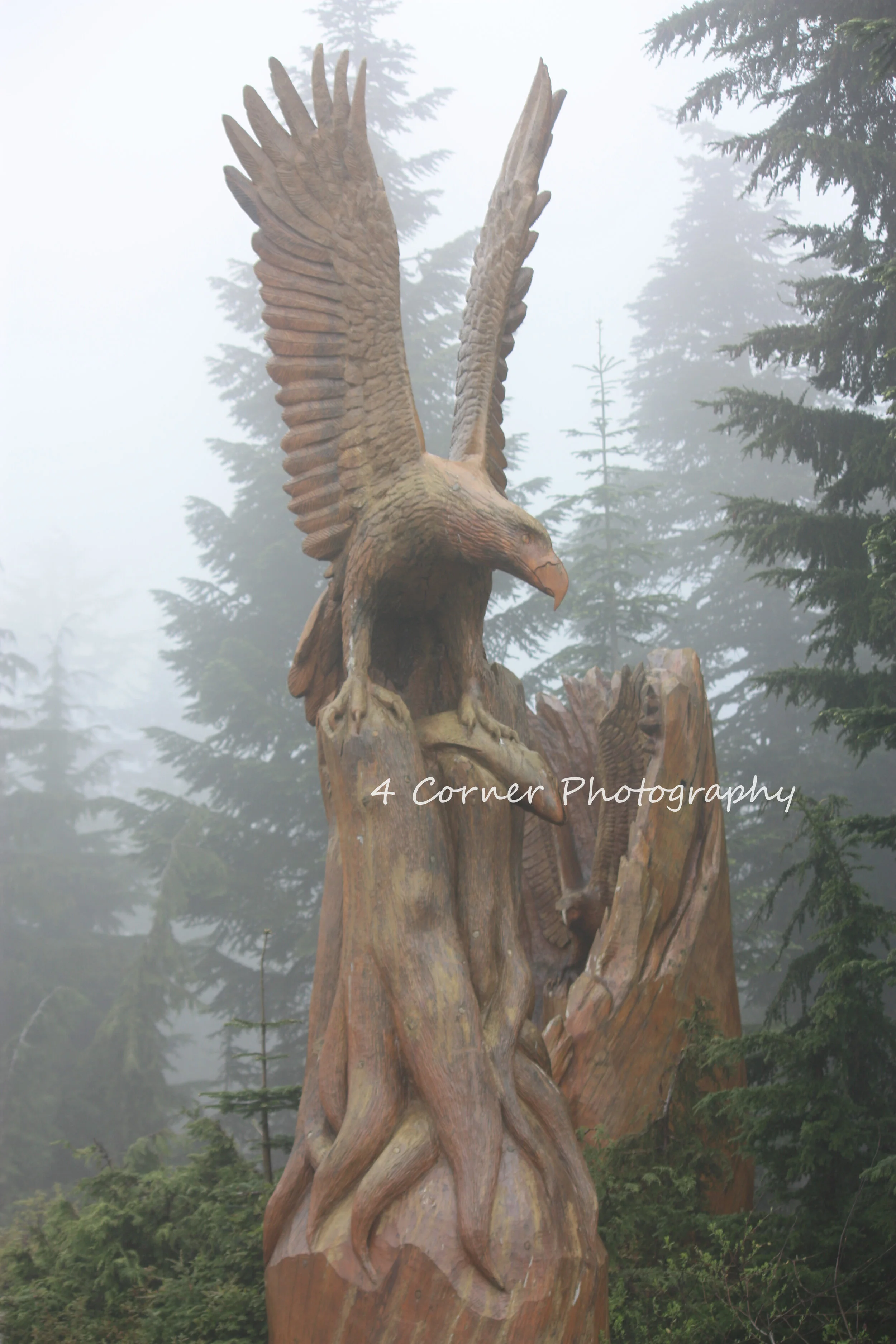 Wooden eagle sculpture perched on a gnarled tree trunk amidst foggy forest with evergreen trees.
