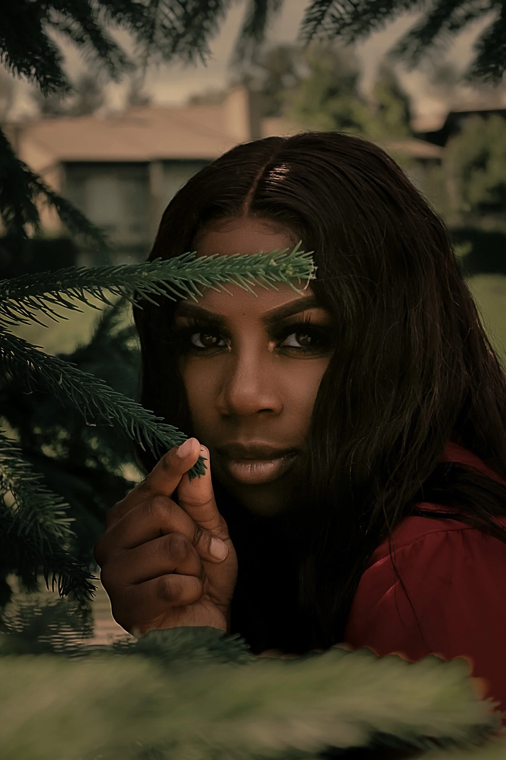 Through The  Evergreen (Copy)