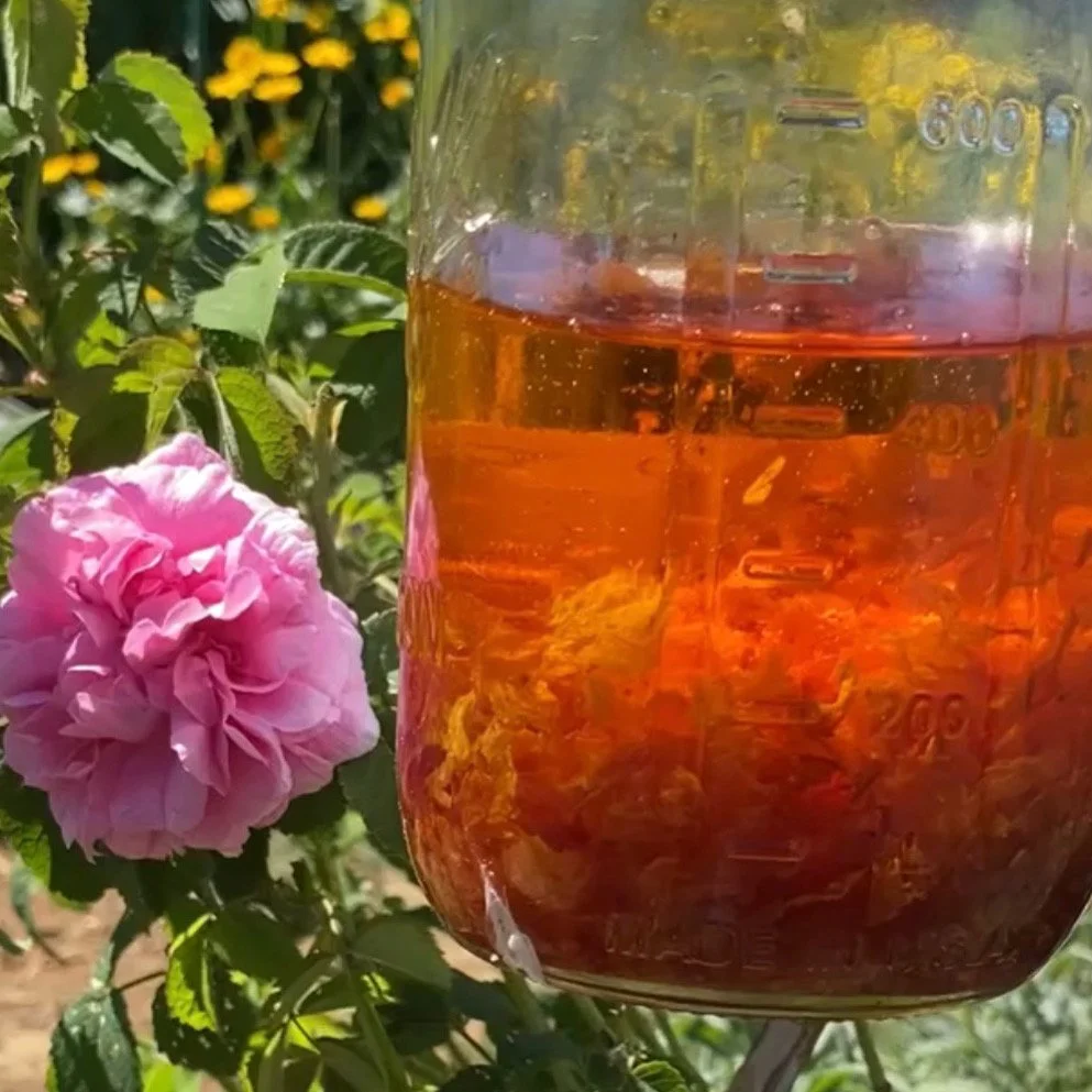 Rose Oil