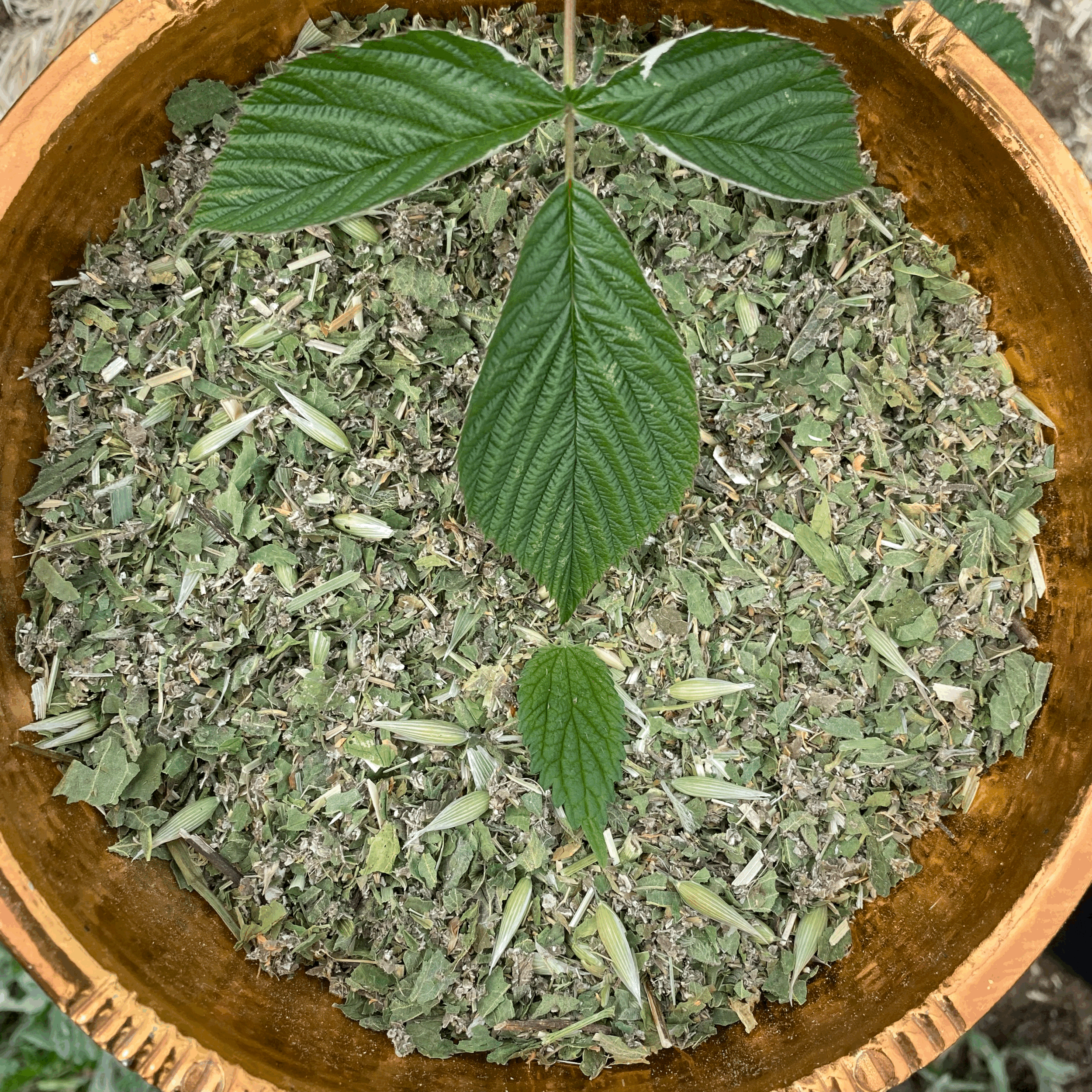 tempImageSM5n56.gif