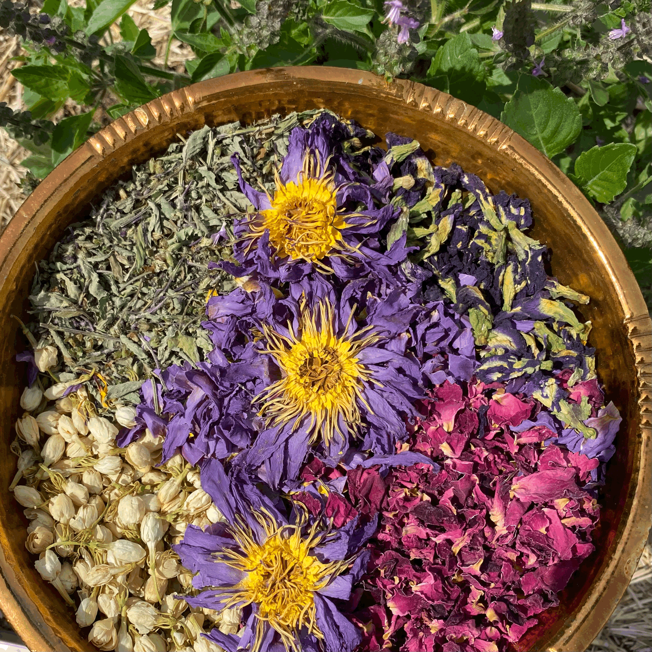 DIVINITEA | Ceremonial Herbal Blend