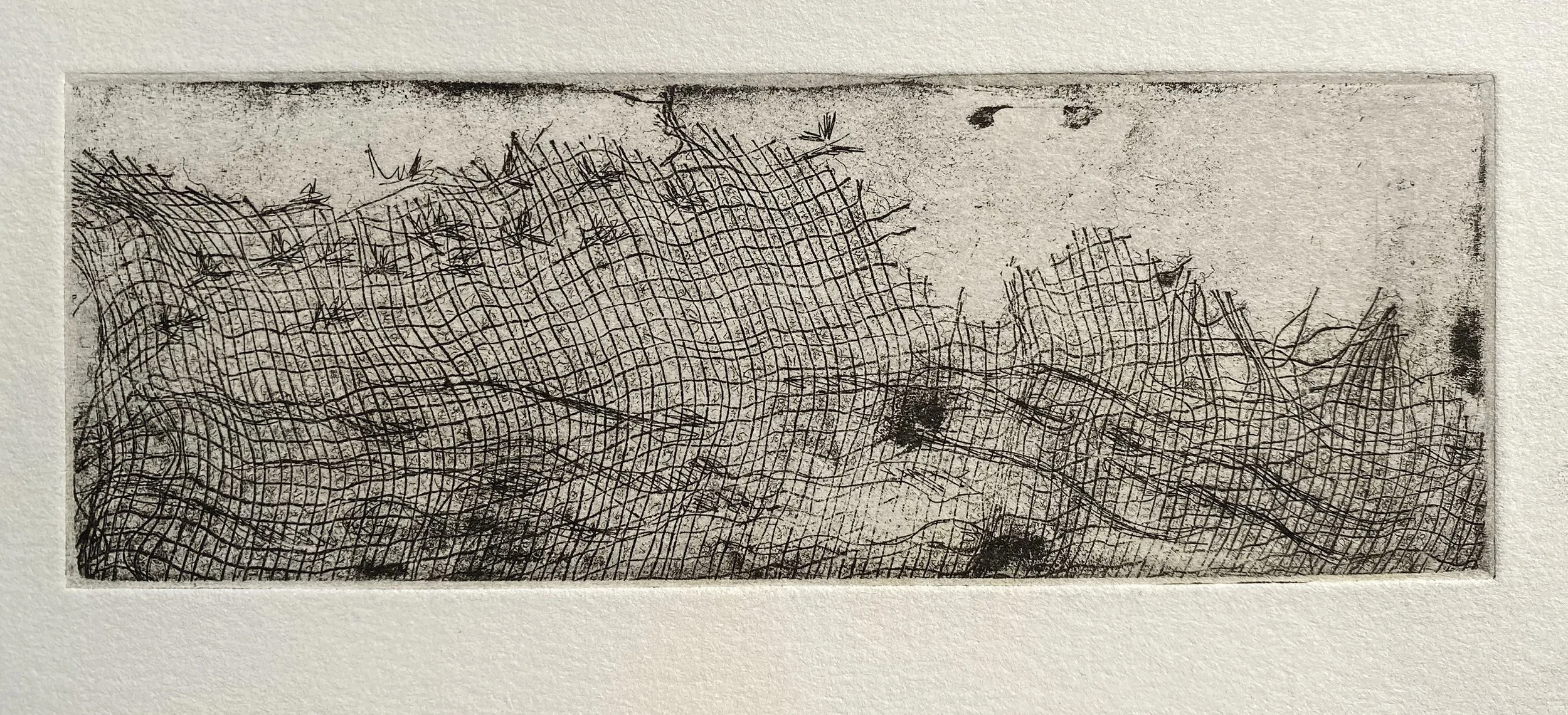 IMG_4362 CC Low Res.jpg