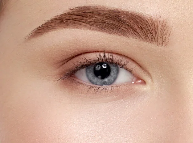 Dreaming of the Perfect Brow