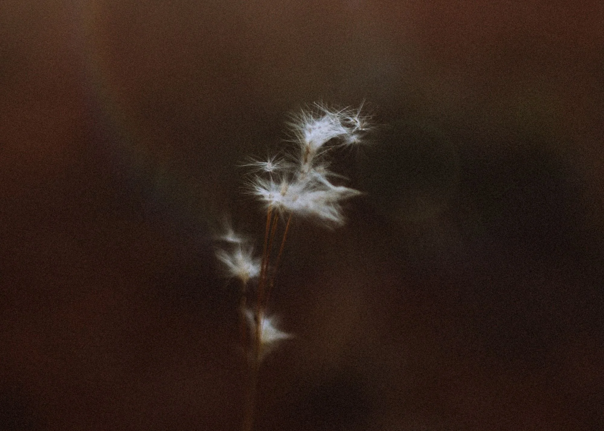 Uncaptured — mythos