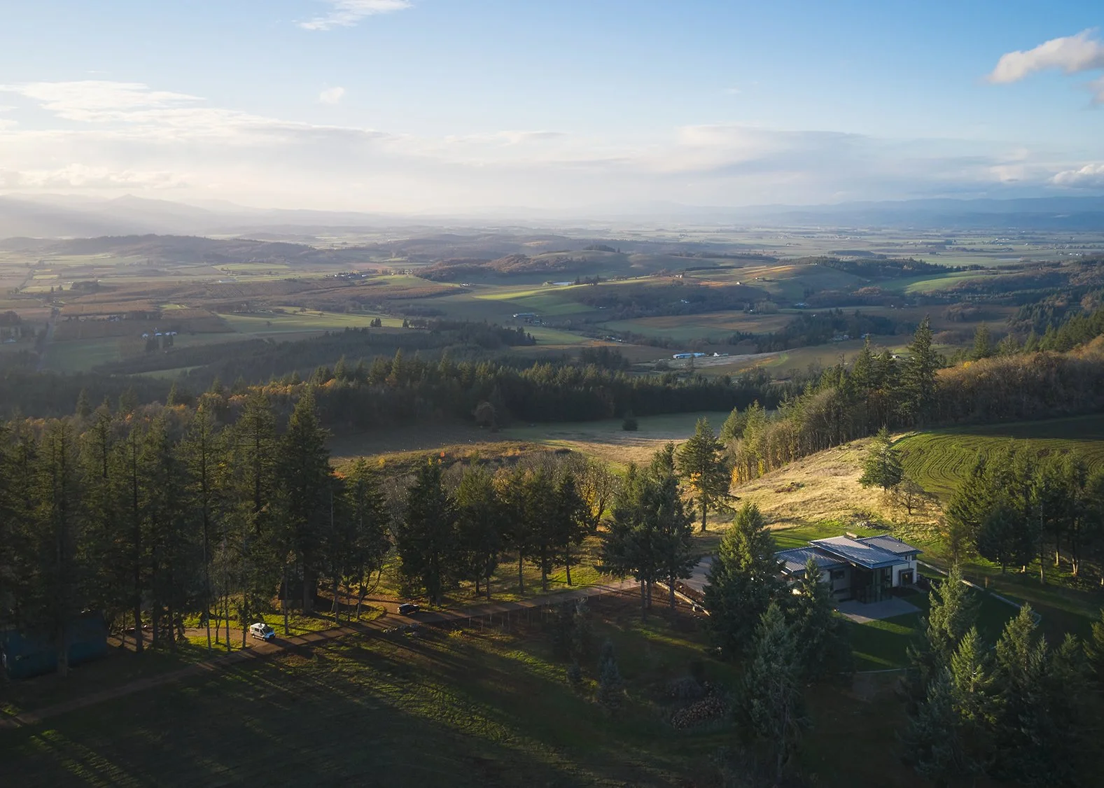 (c) Kevin Scott - DJI_0549 SMALL.jpg