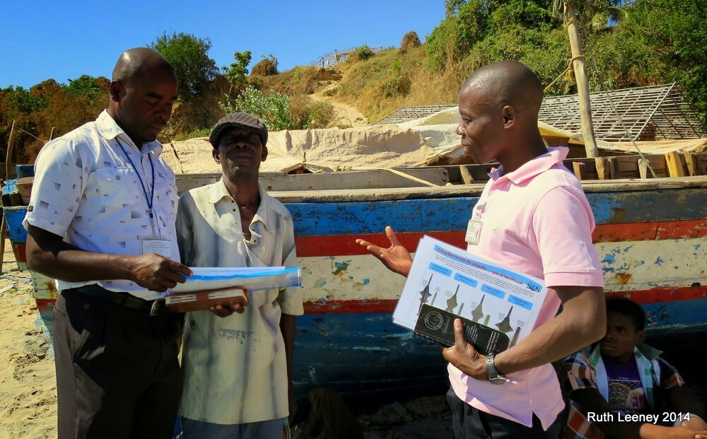 NEW: multilingual sawfish identification guides now available and in use in multiple countries!