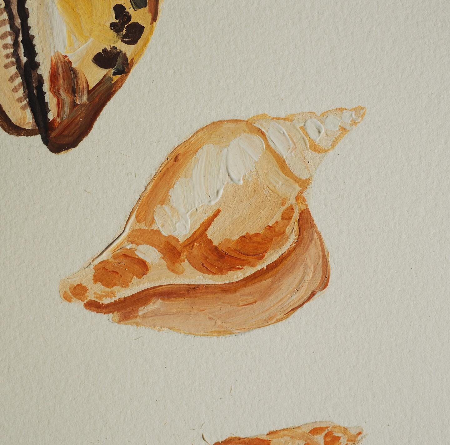Close up paint porn 🐚🎨