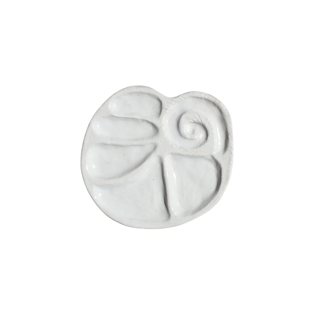 Seashell Paint Palette