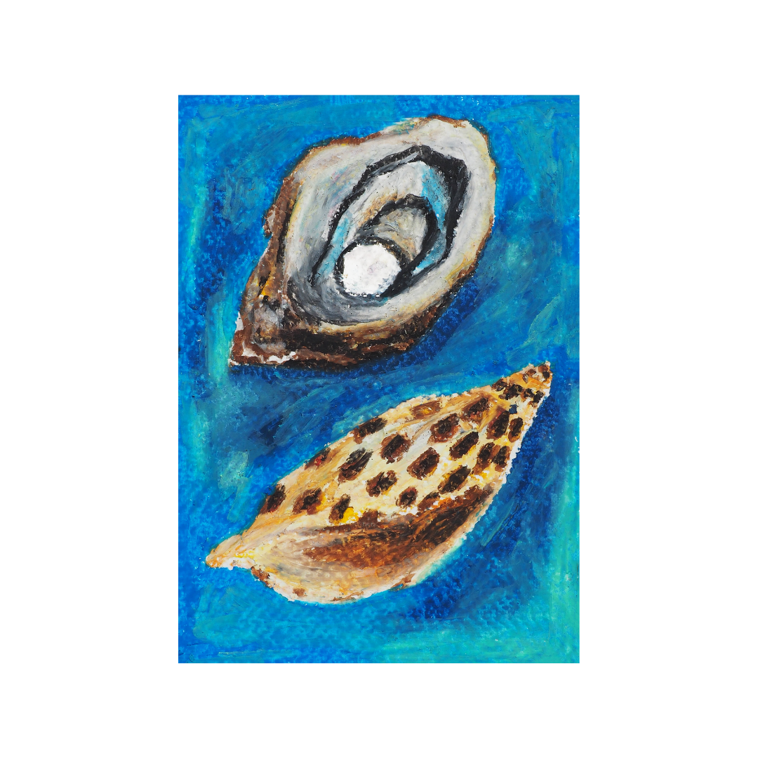 Sea Shells Print