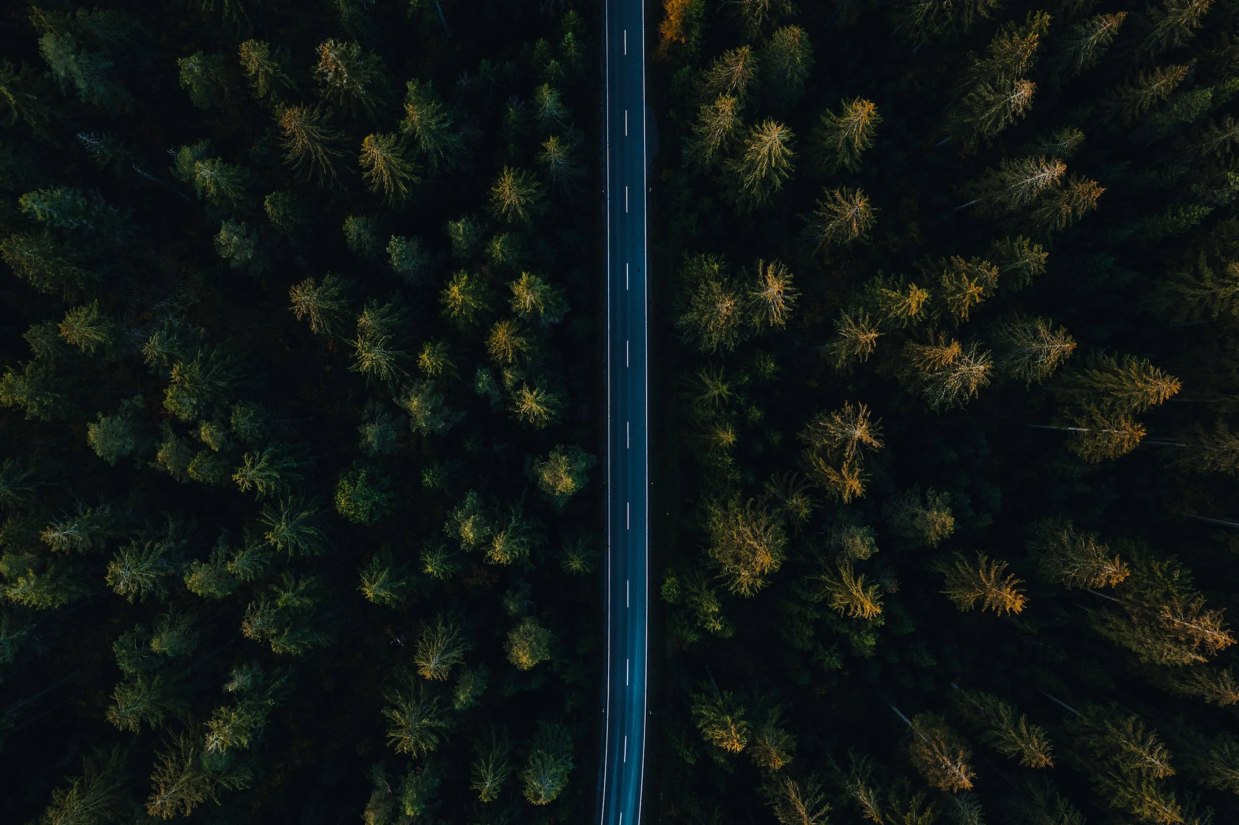 unsplash-image-v6uXUGQSDLY.jpg