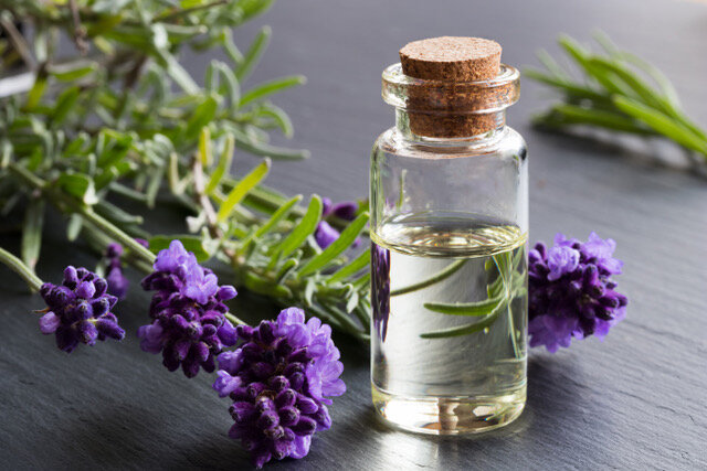 Lavender with Argan Oil