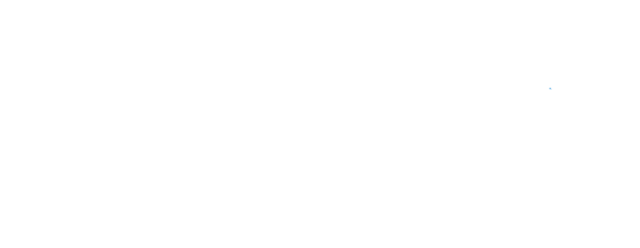 Shiitake Creative しいたけクリエイティブ | 世界専門の制作会社