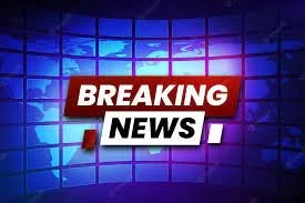 Bayswood to deliver the full range of Care Diplomas