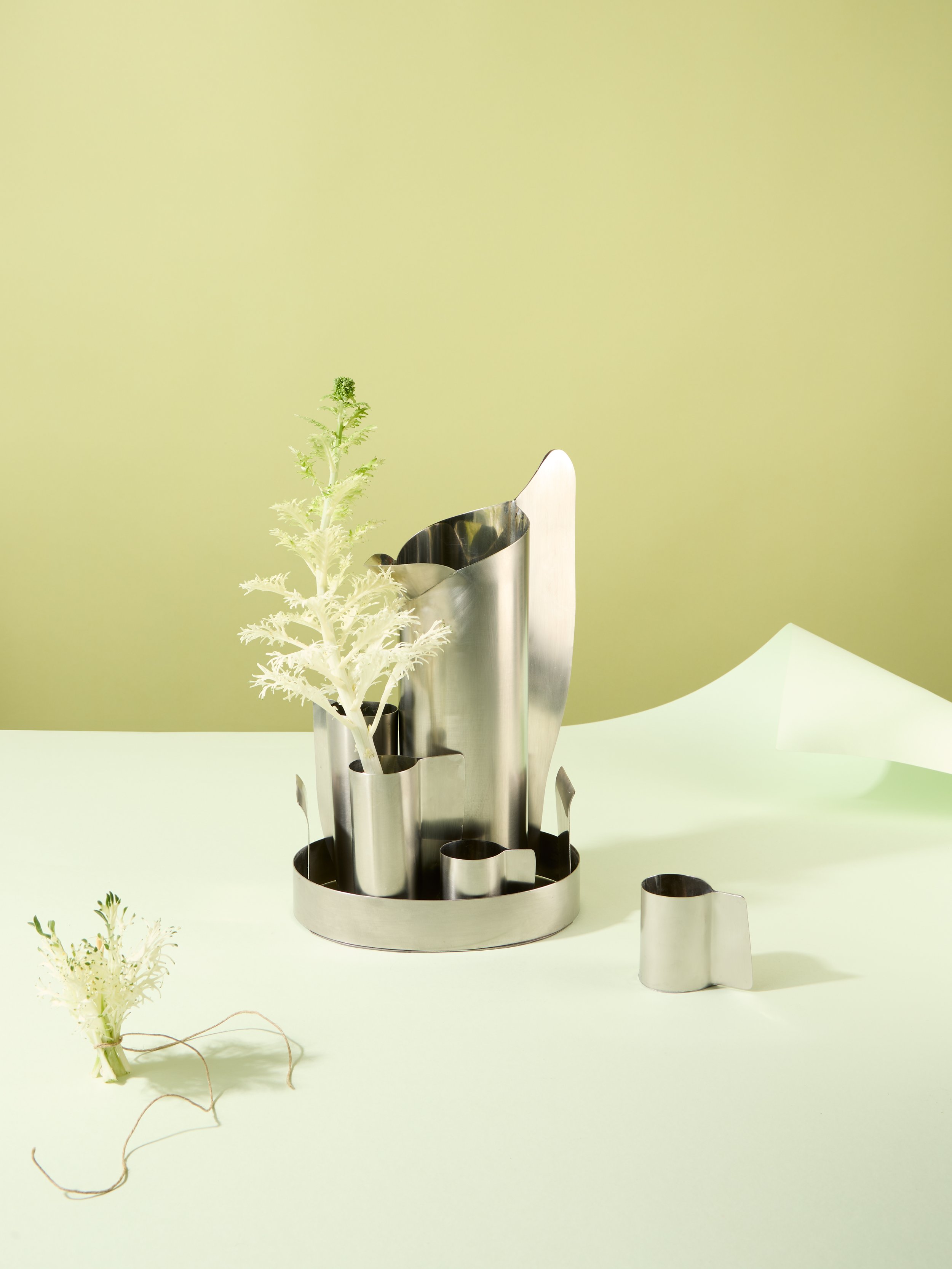 still life x Astrid Luglio