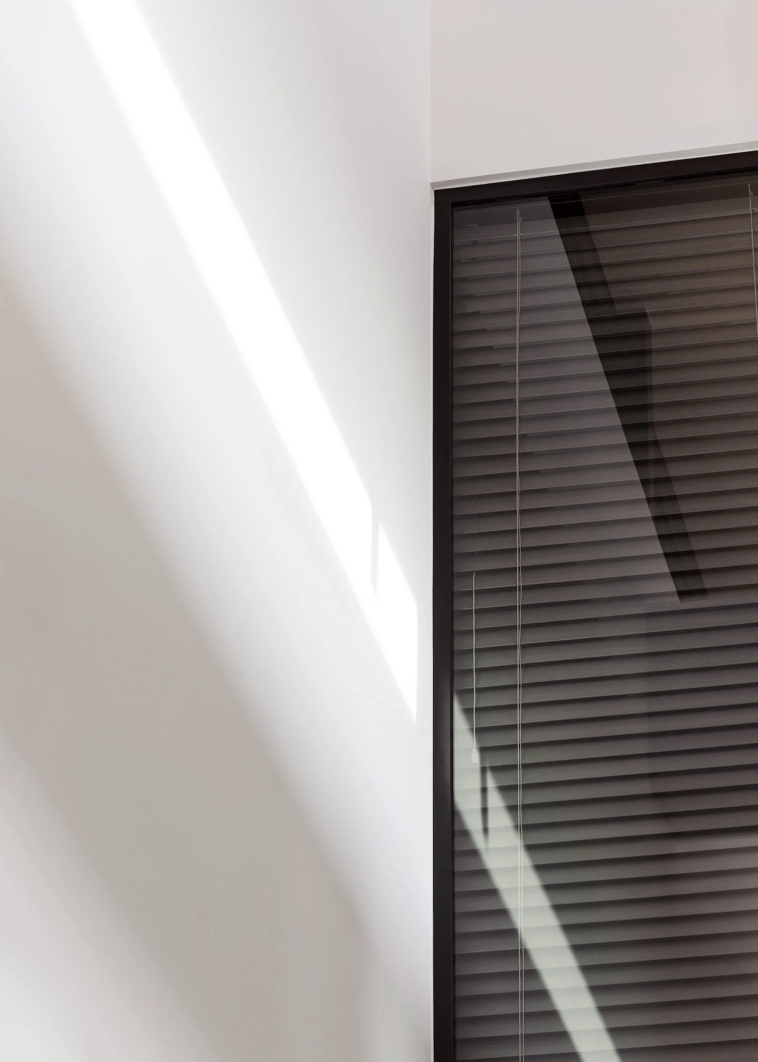 Venitiaanse blinds
