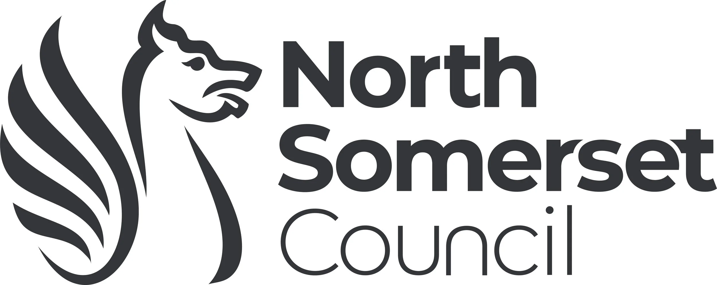 NSC Logo New (1).jpg
