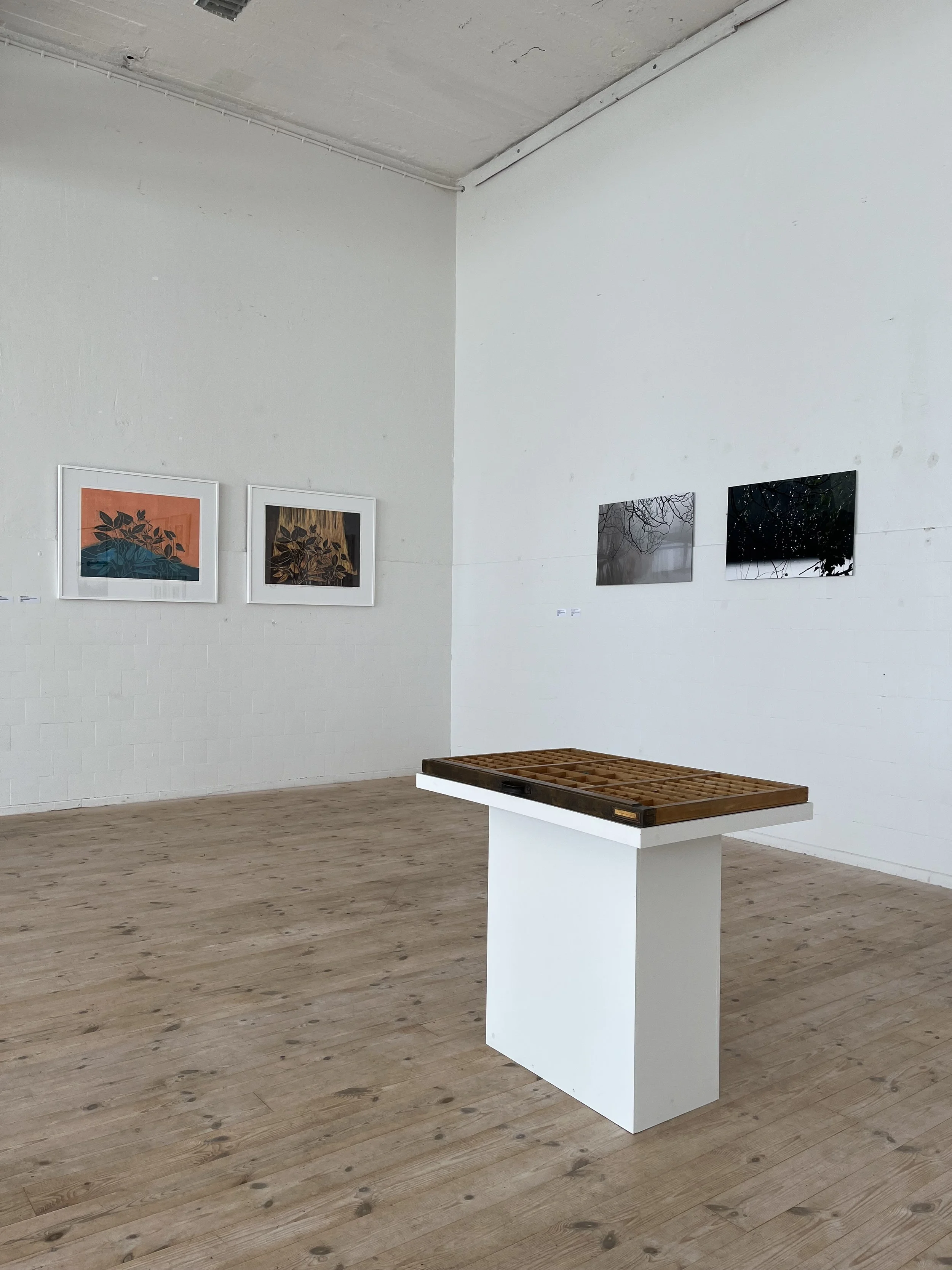 Edessä Sirpa Hannele Heinonen, takana Björgvin Björgvinsson ja Pirjo Aaltonen