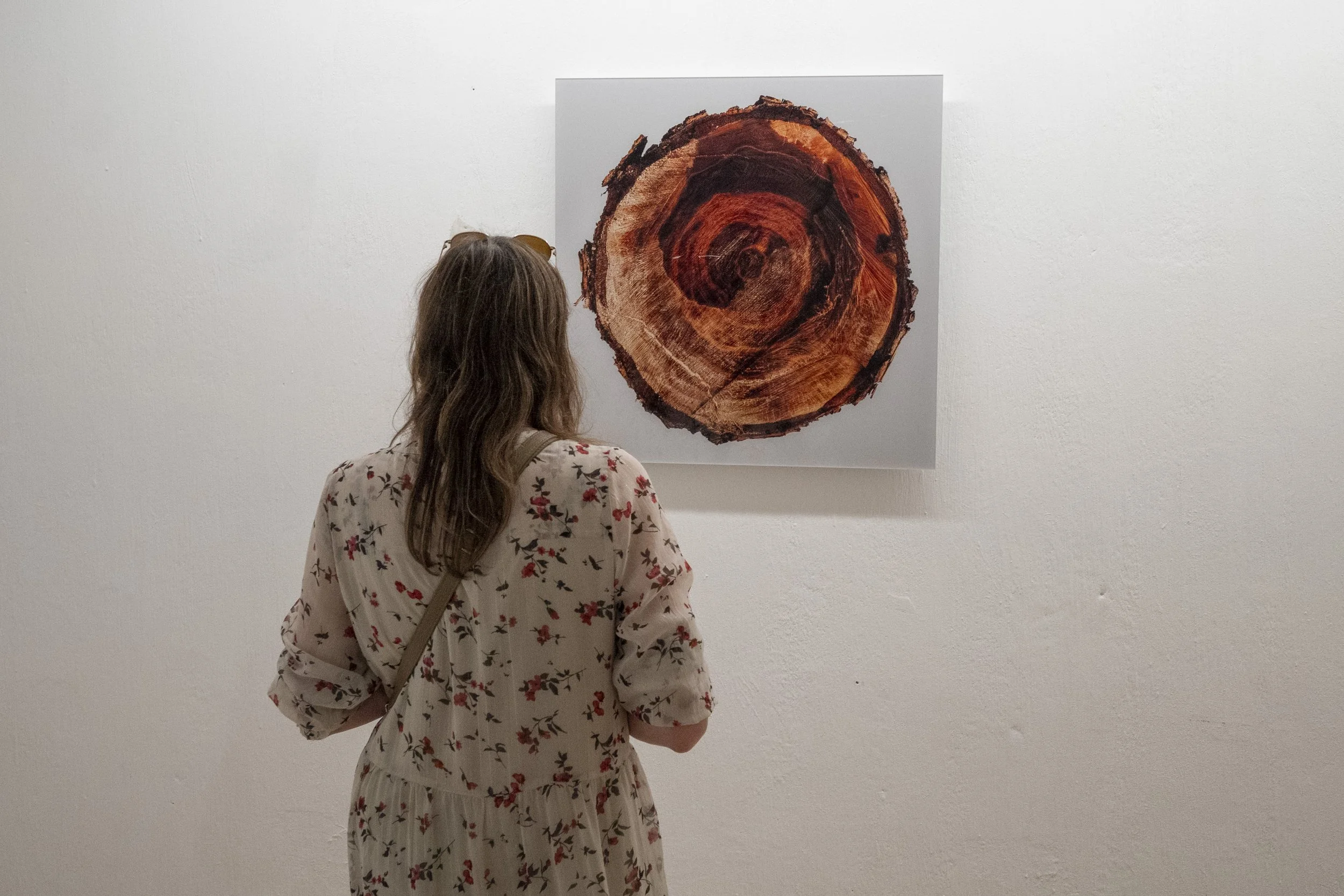 Ryttarin_teos_Kanto_17_kuvaAavaAnttinen copy.jpg