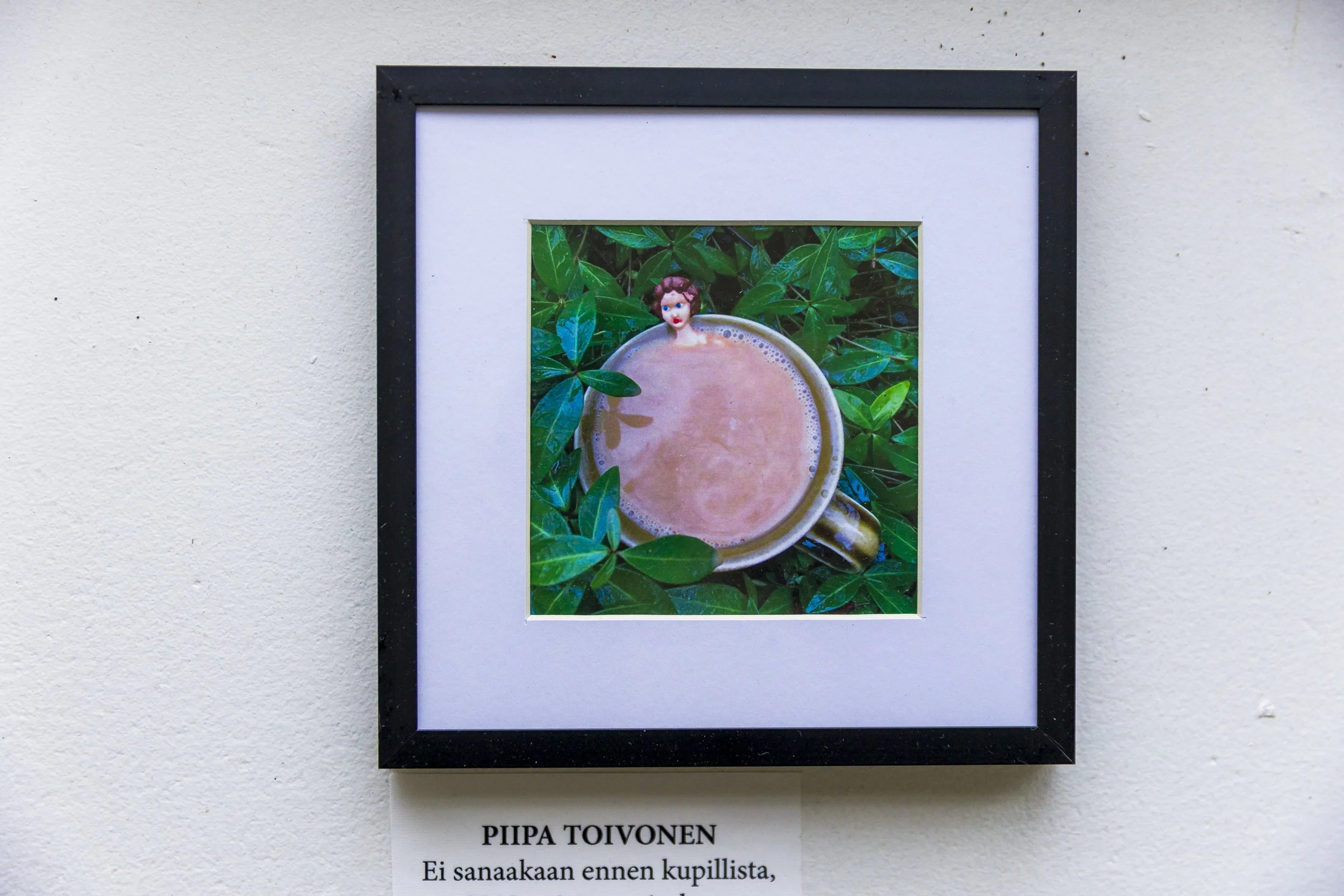 Piipa Toivonen