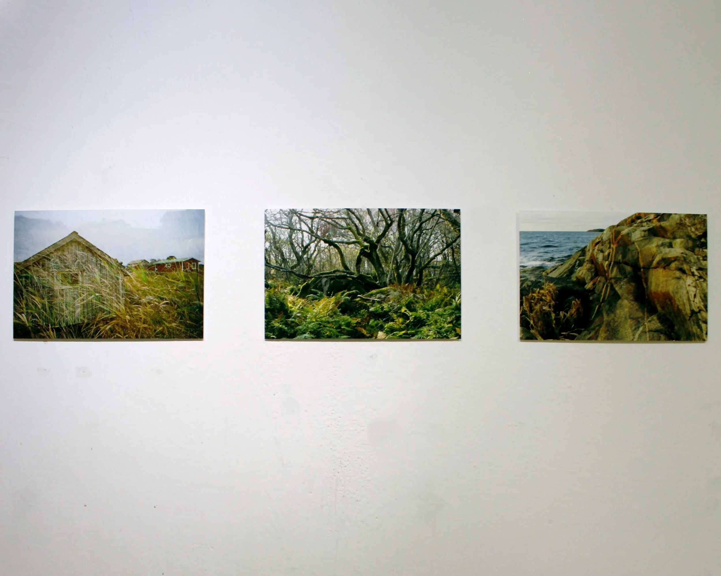  Marja Riitta Vattulainen