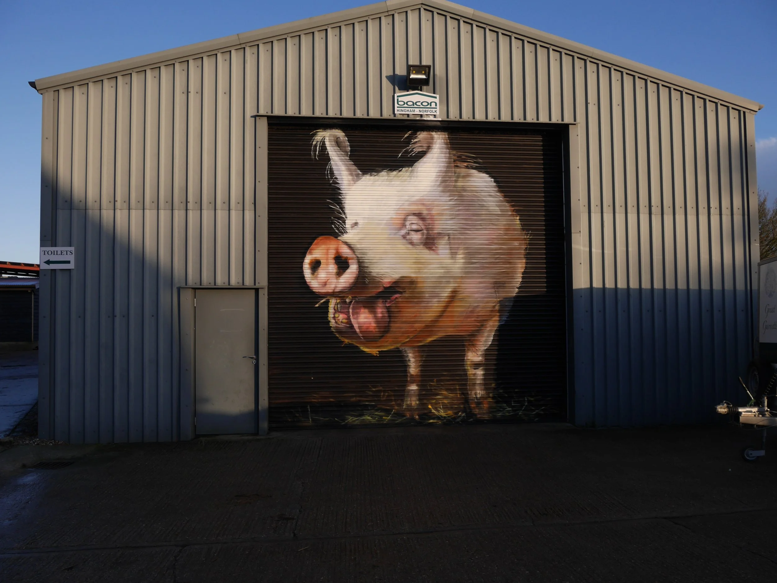 dan luckin big pig mural.JPG