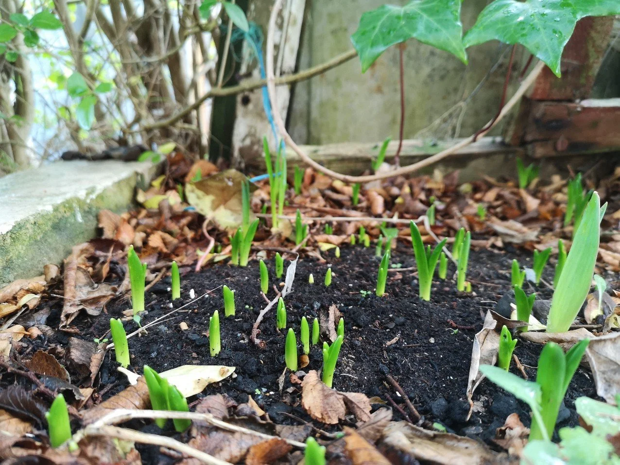 5 ways to keep your energy up before Spring comes