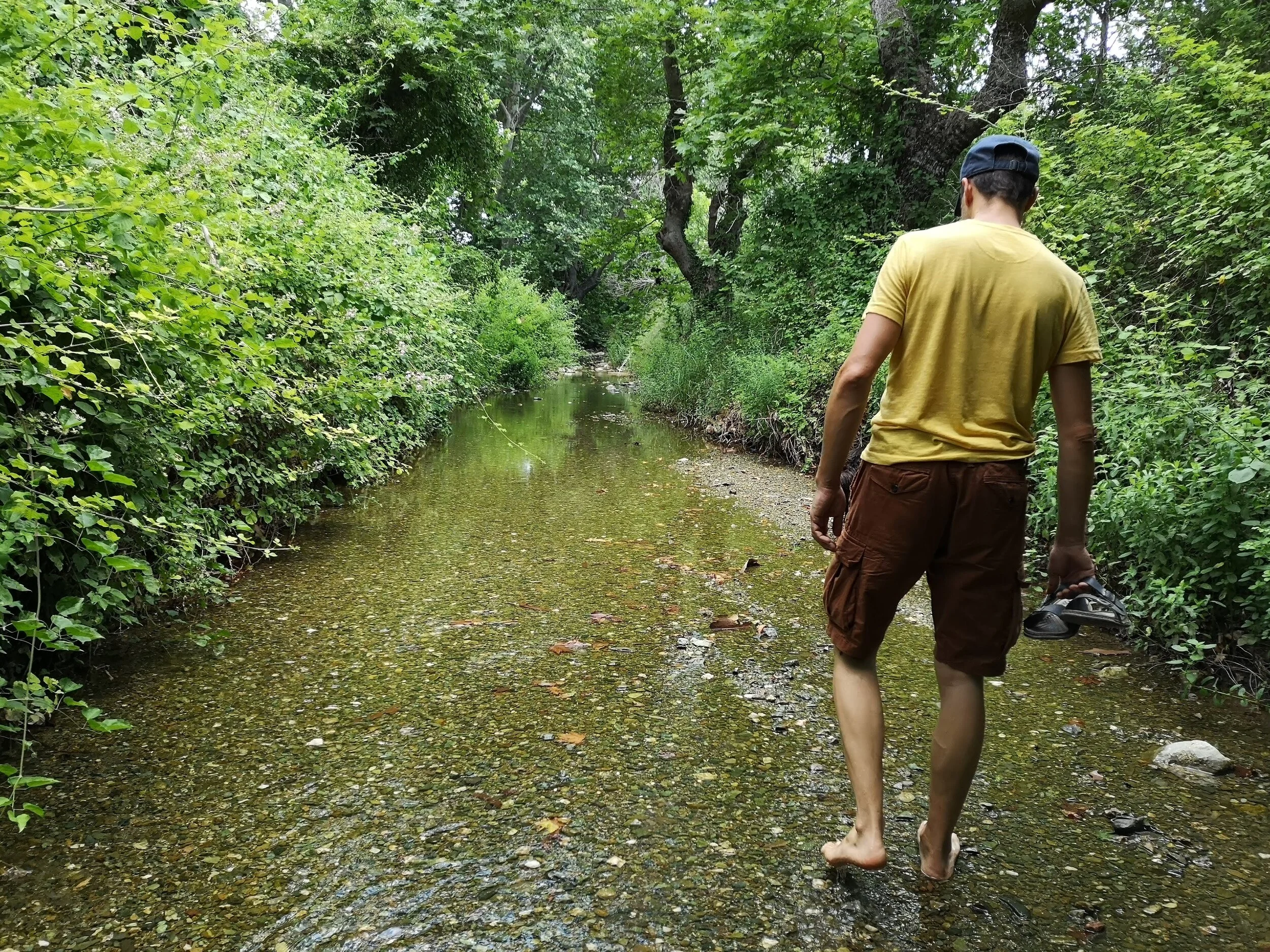 The Rhythms of the Organs - Walking and the embodiment of Chinese Medicine