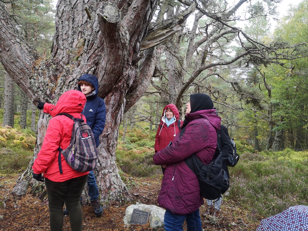 Finding out about tree ecology in the Black Wood of Rannch.jpg