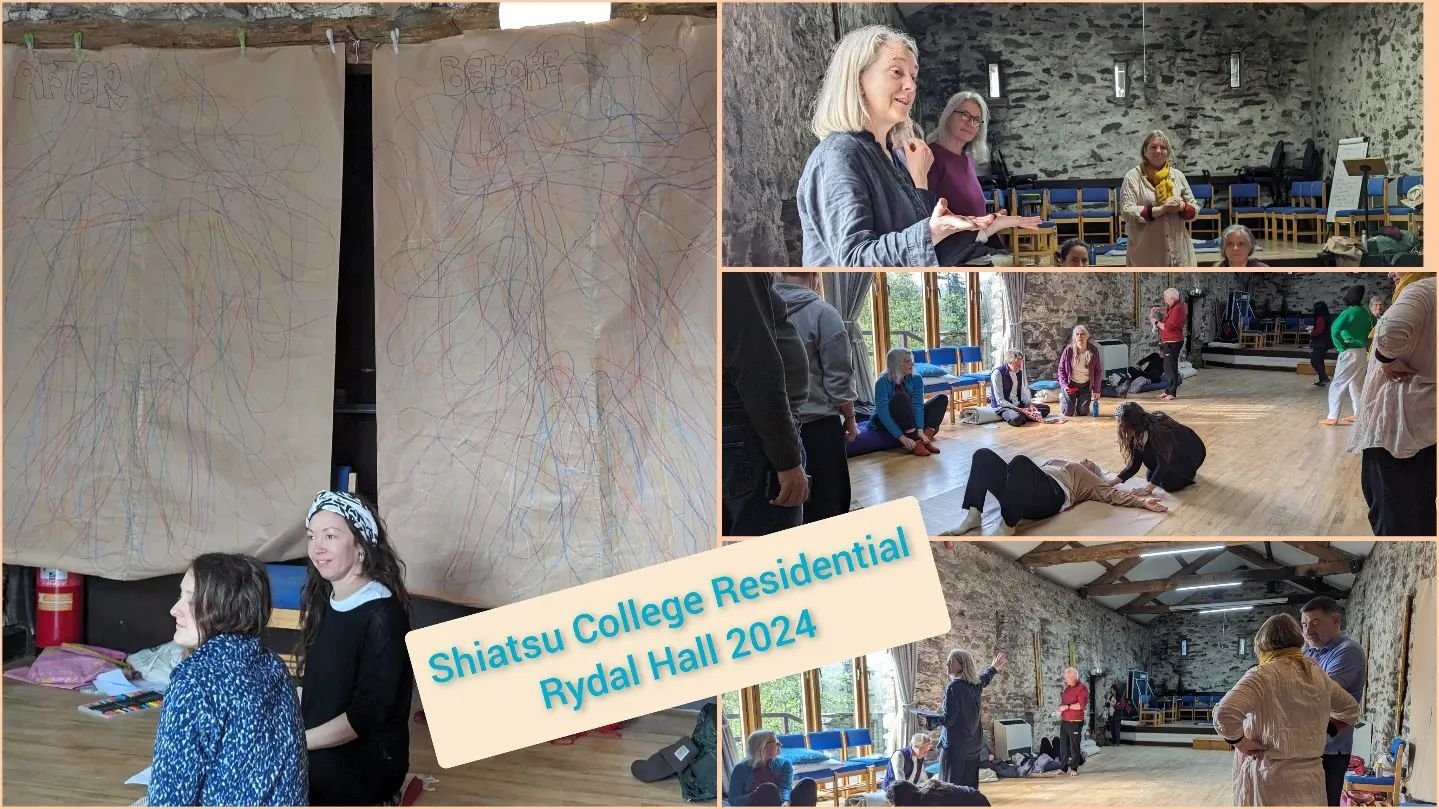 Continuity and Transformation at the Shiatsu College Residential in the Lake District at the beautiful Rydal Hall with old friends and new. Thanks to Hannah Mackay, Claire Gilliver, Cat Westwood, Jude Pereles, Anne Palmer, Nikki Wingfield and Co
#shi