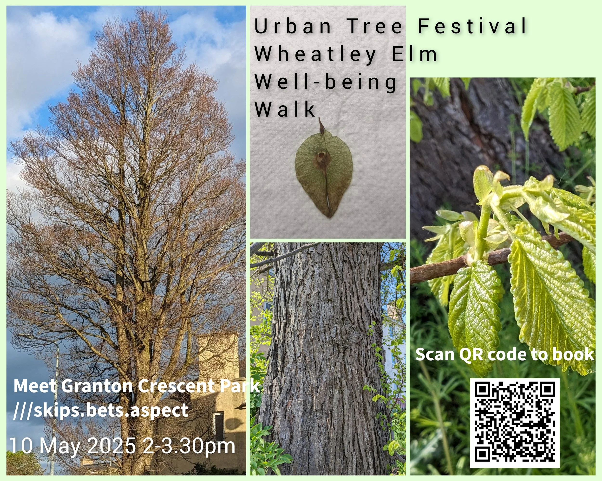 Wheatley Elm Wellbeing Walk
