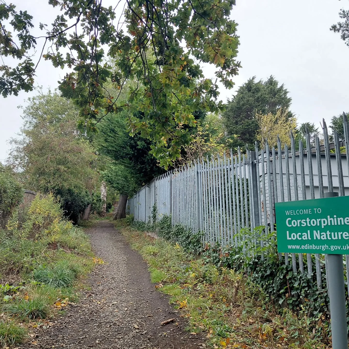 Walking in search of the Granton Burn for @scottishhistoricbuildingstrust talk 12 Nov ref #patrikgeddes #valleysection
From the (look-out) tower on #corstorphinehill to the #brickbeach #granton #edinburgh #walkingwithoutadonkey