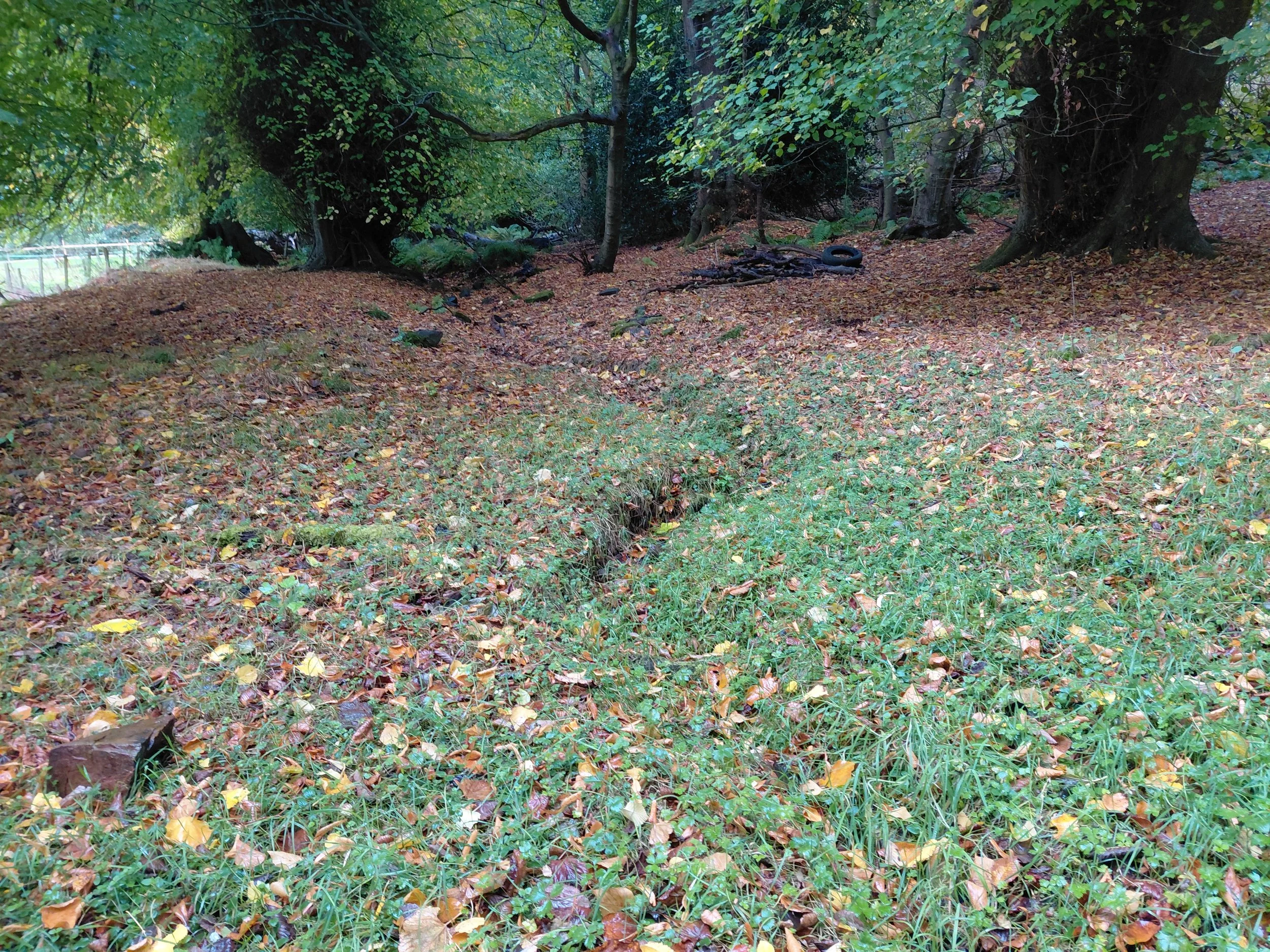 Burn route C Hill.jpg