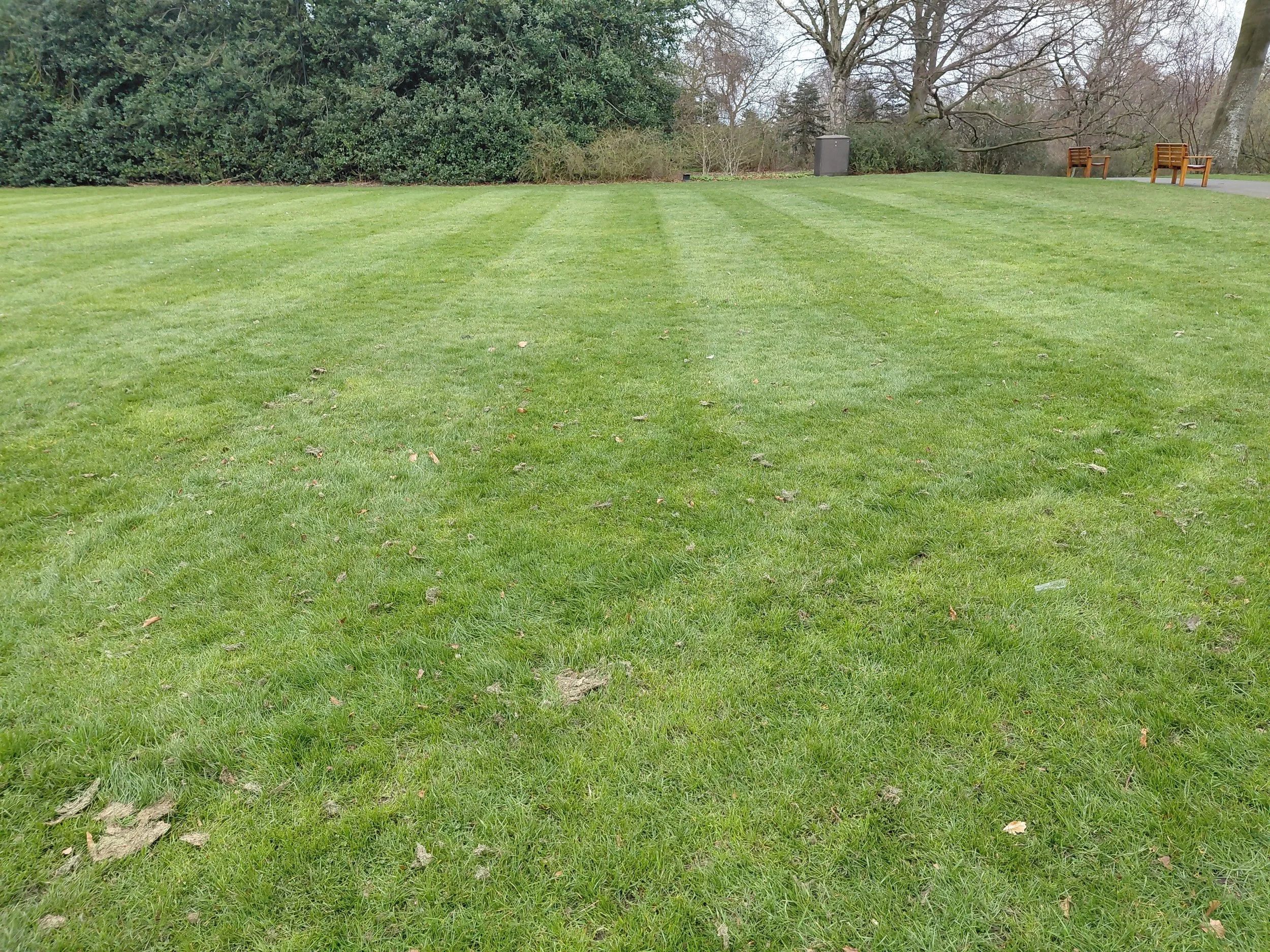 I walked here Botanic Gardens.jpg