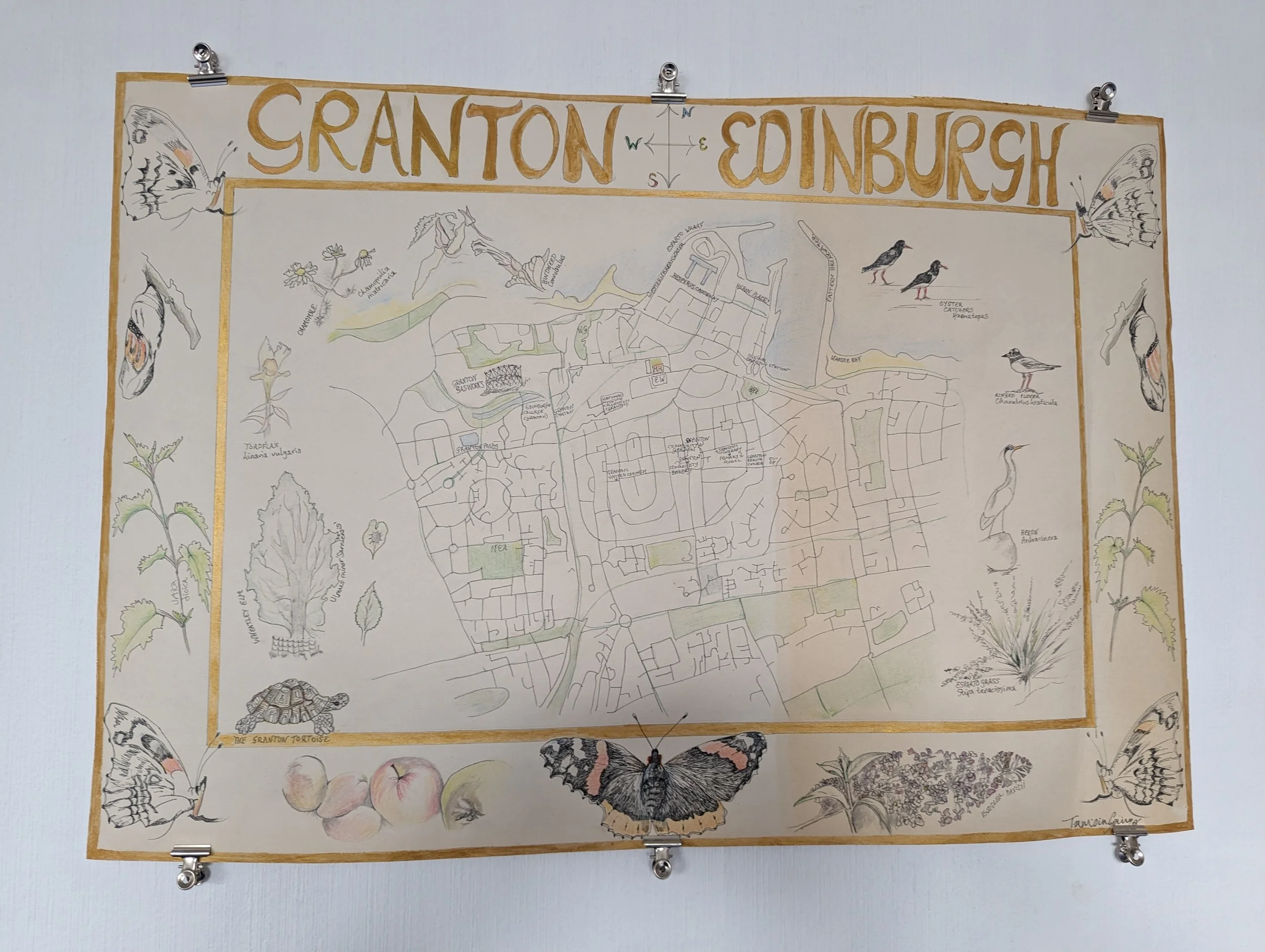 Hand drawn and painted map of Granton, Edinburgh with resident species