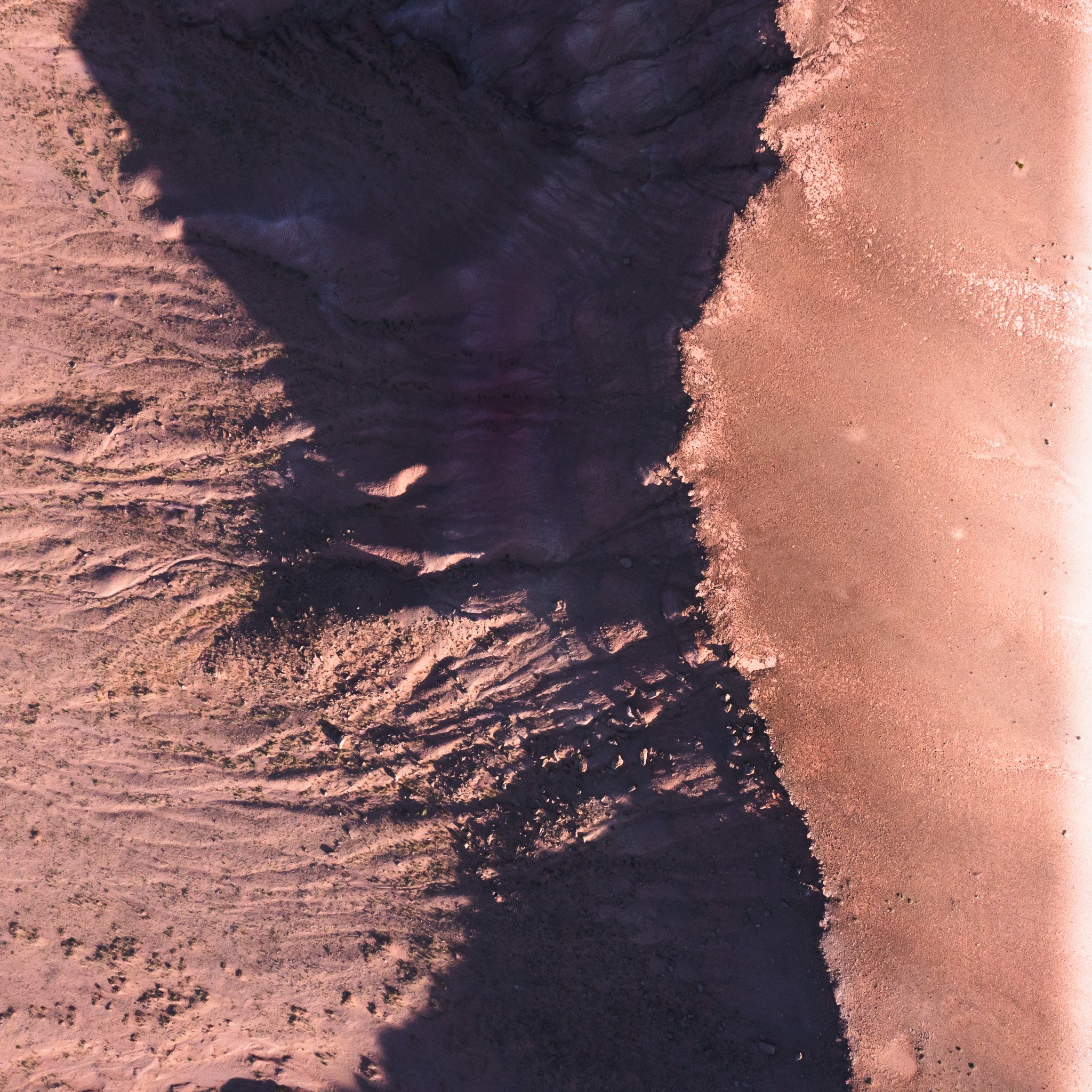 "How to See, Again", archival pigment photograph, 28 x 28 inches, 2023