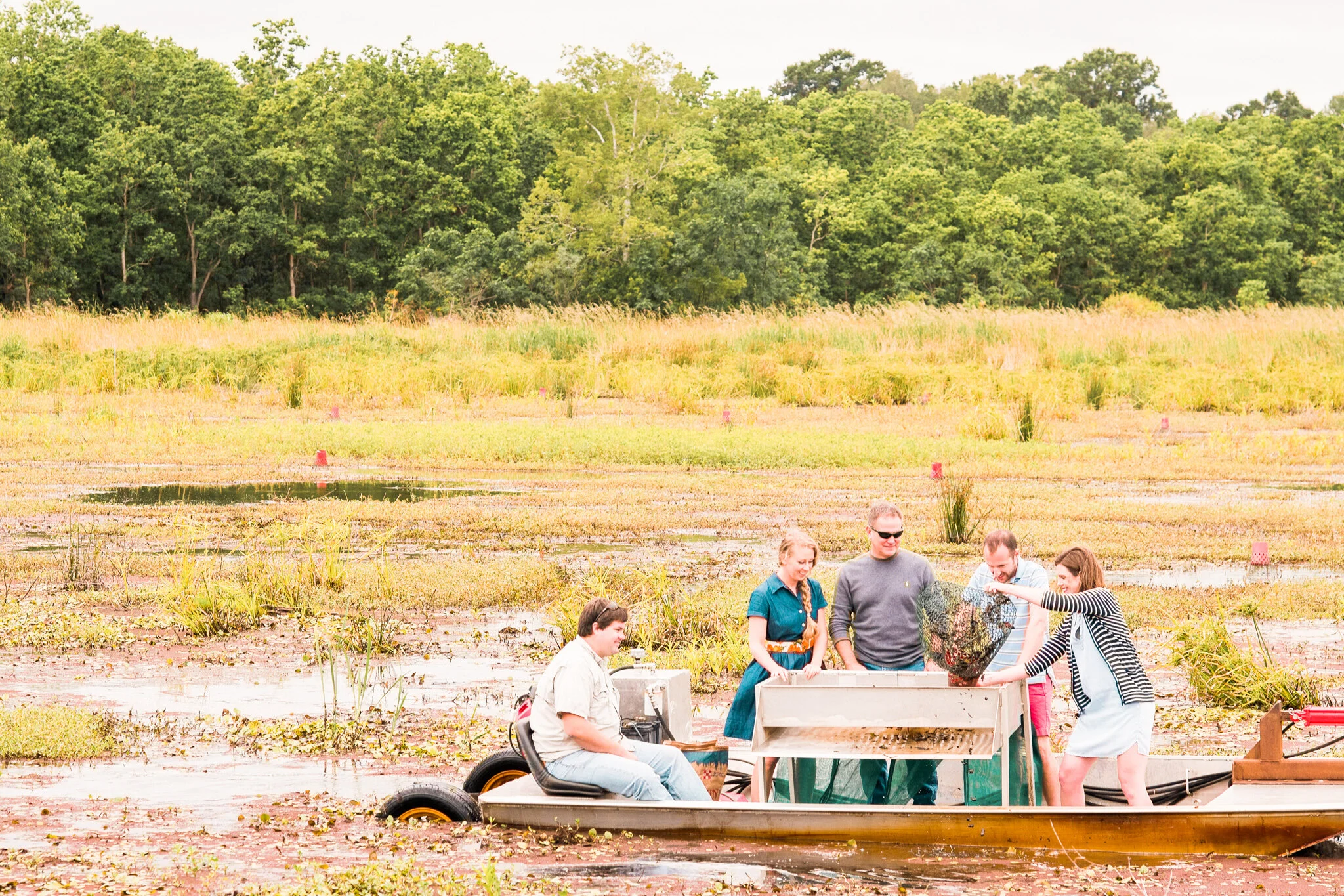 Crawfish Catching.jpg