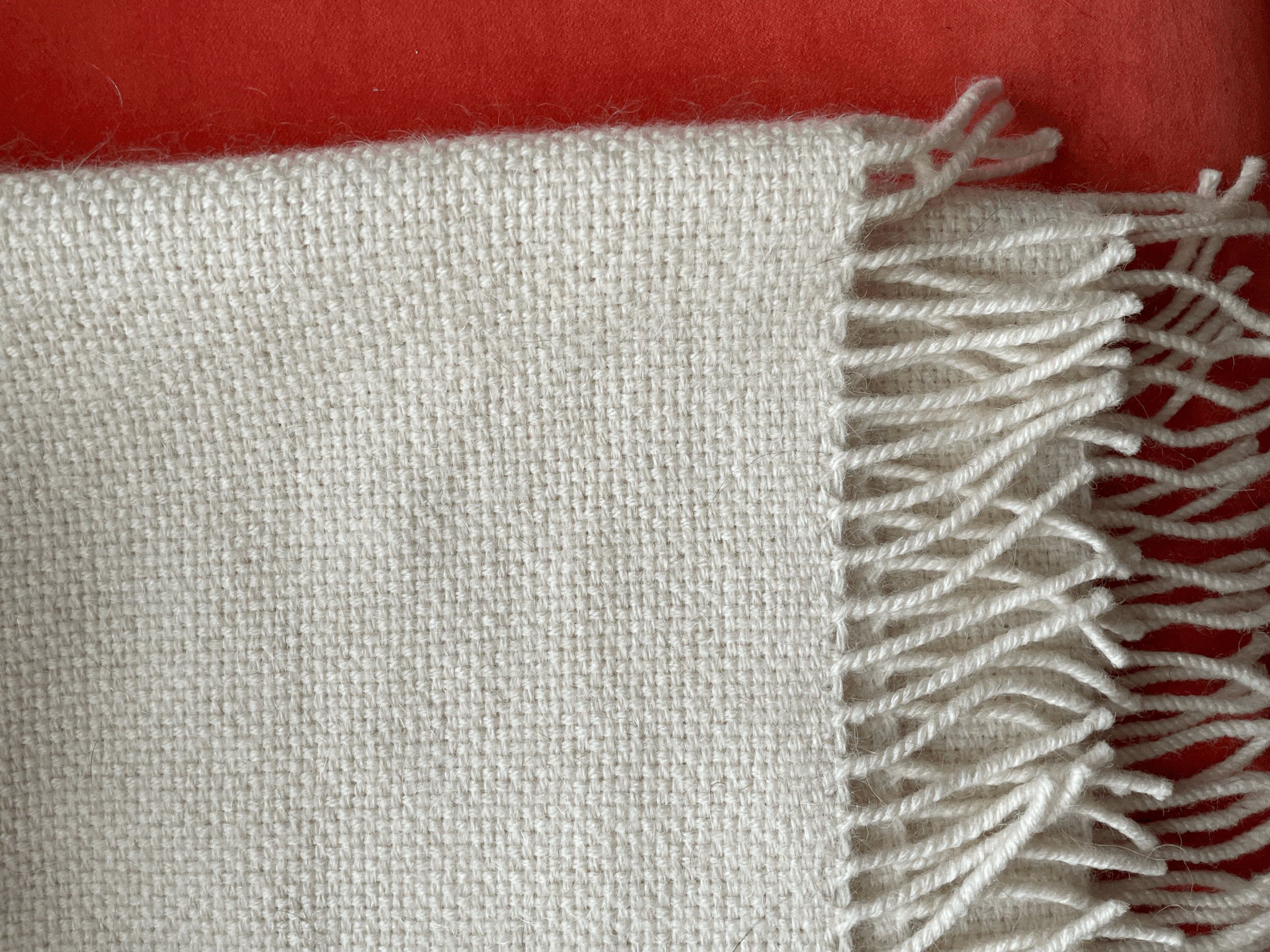 tempImagewyBE5V.gif