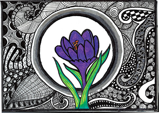 Iris.LR.jpg