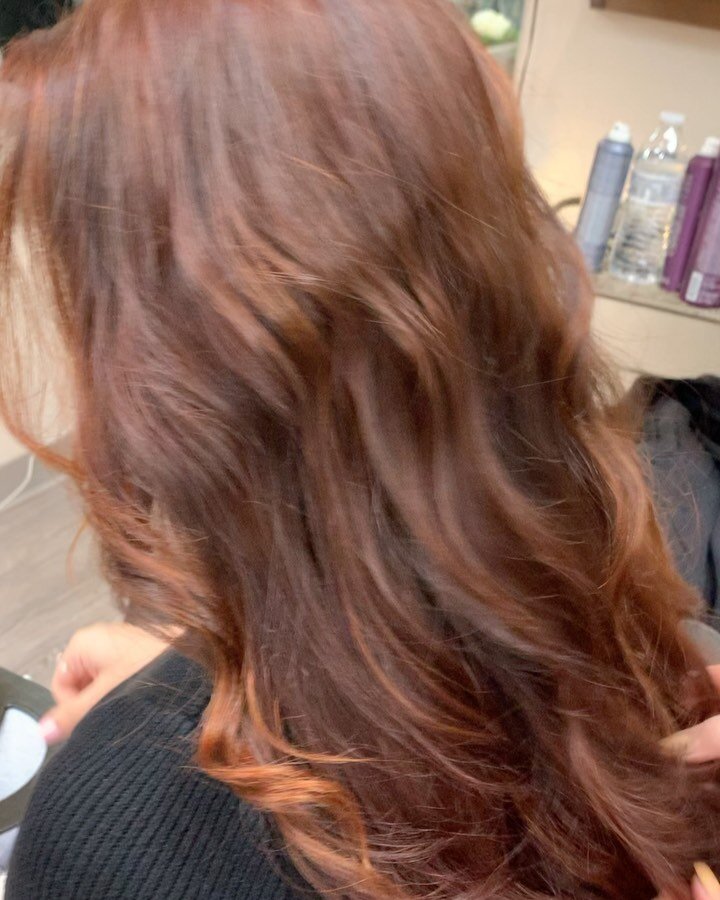 Swipe to see the before! &mdash; There&rsquo;s a rich world of color even just among natural shades. By drawing out reds and coppers, this client&rsquo;s hair brought a new, vibrant heat! The perfect complement to her fresh green eyes.
&bull;
&bull;
