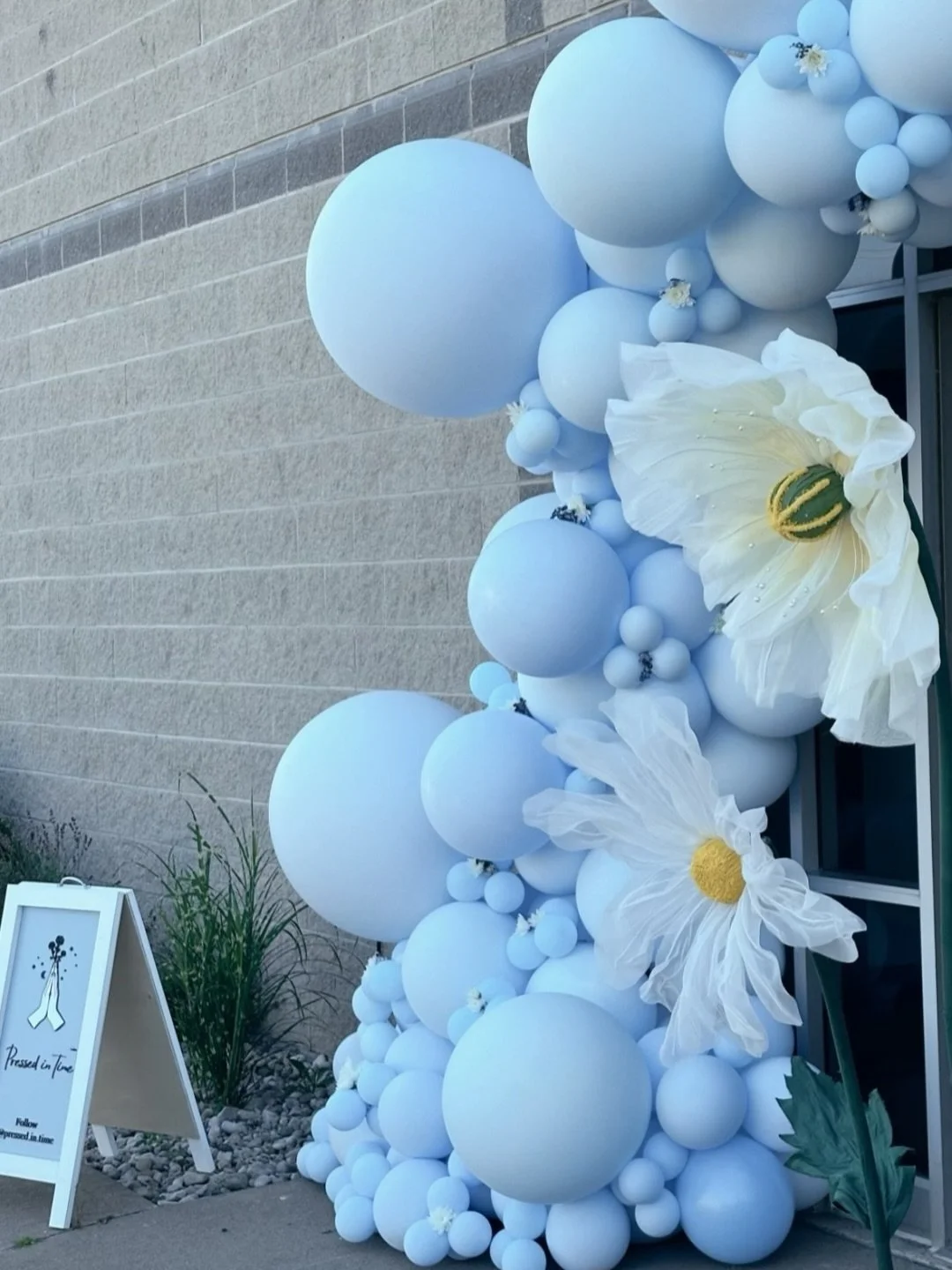 🩵BLUES🩵

My favourite colour 🙌 for @pressedintimestudio 

St. Catharines Balloons | Niagara Balloons | Niagara Falls Balloons | Niagara Event Decor