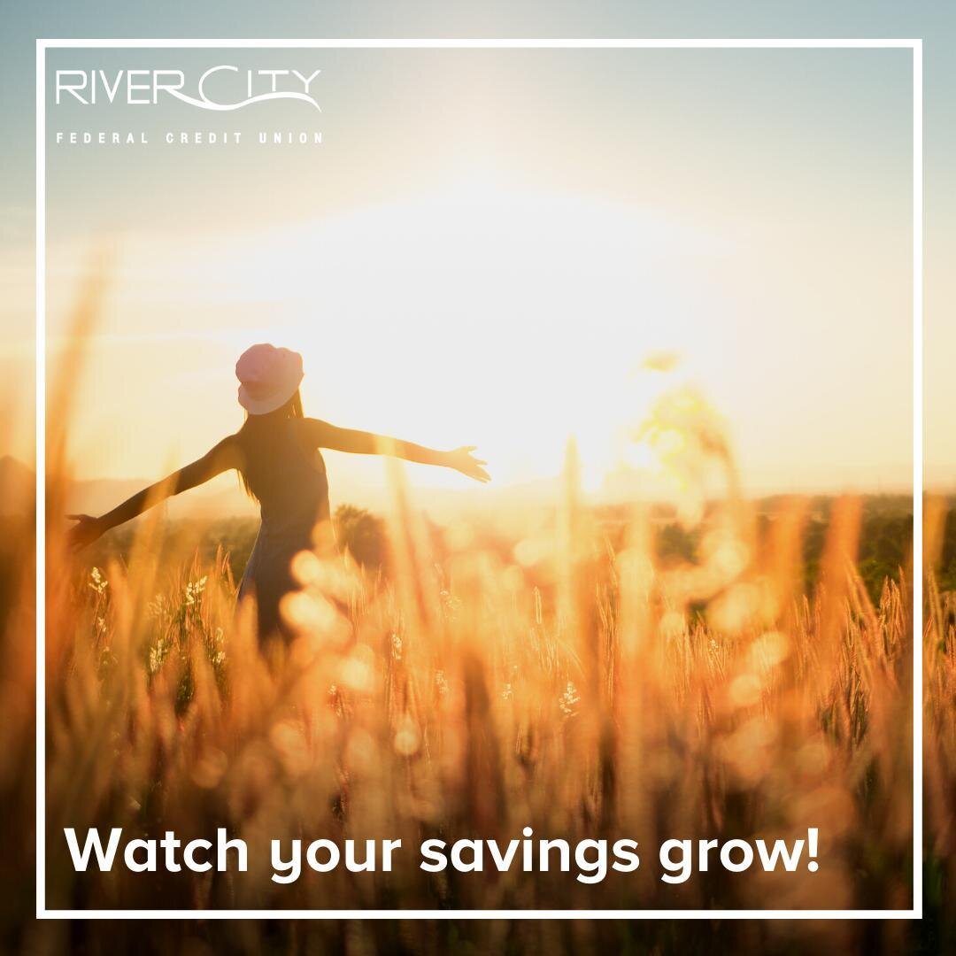Watch your #Savings grow when you open a #SavingsAccount with us! 🌱 Your account will start earning monthly #Dividends the moment you deposit. Make the right choice and put your #Money in good hands. 😊 Head to our website to learn more. [Link in bi