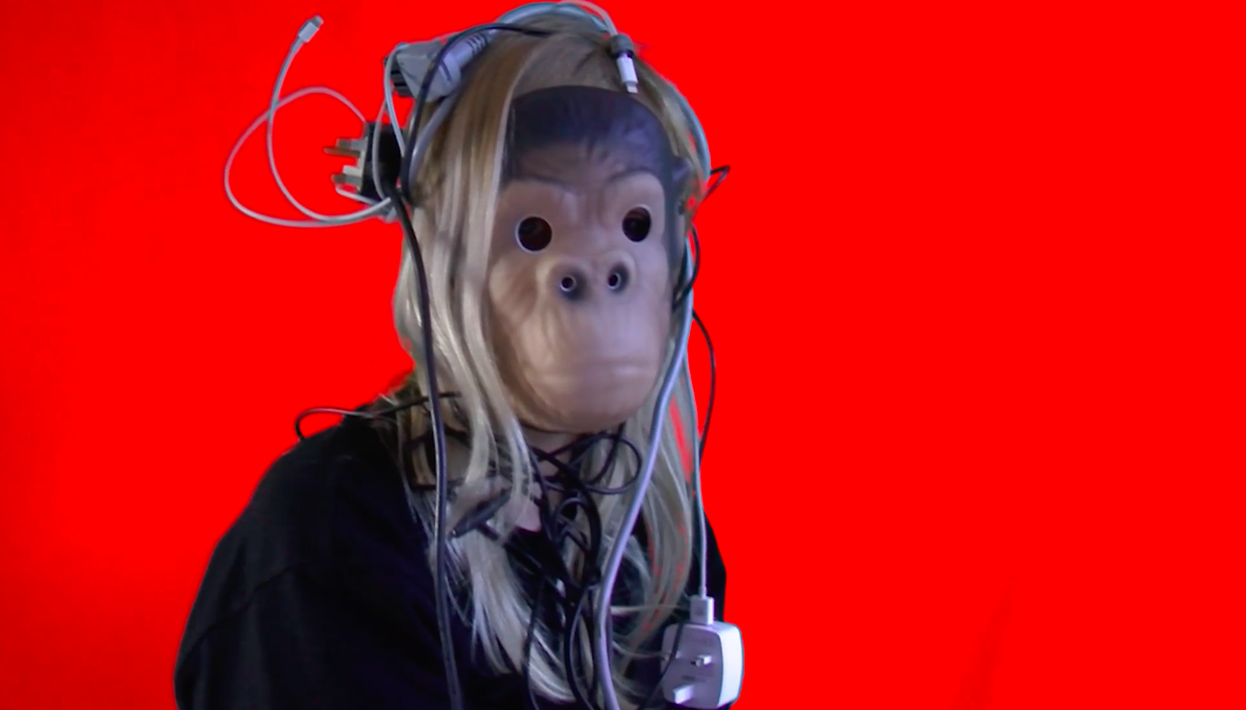 rsz_redmonkey(2).png