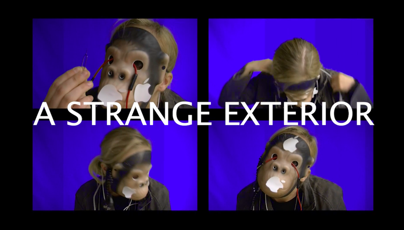 rsz_bluemonkey(3).png