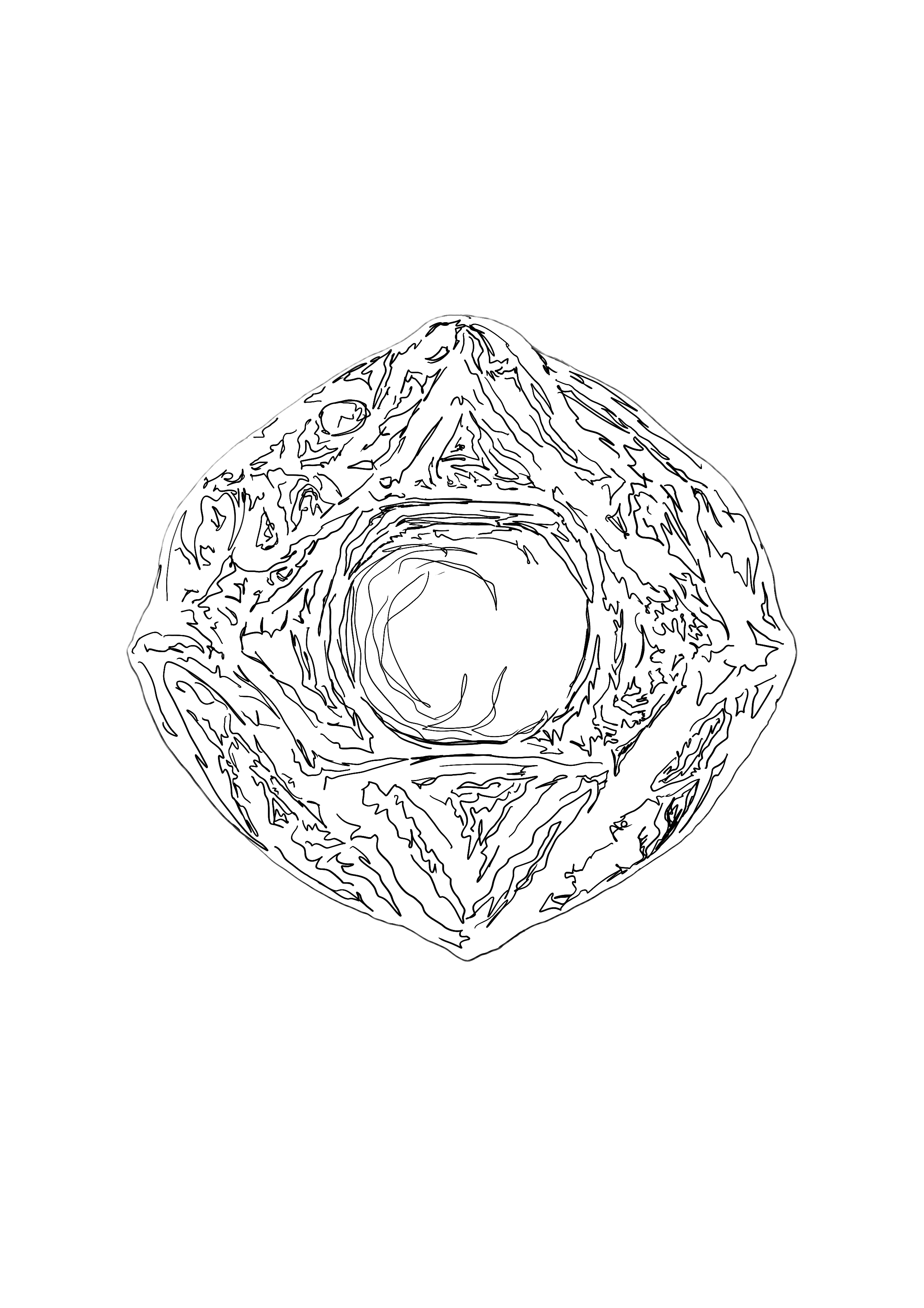 Untitled_Artwork copy.png