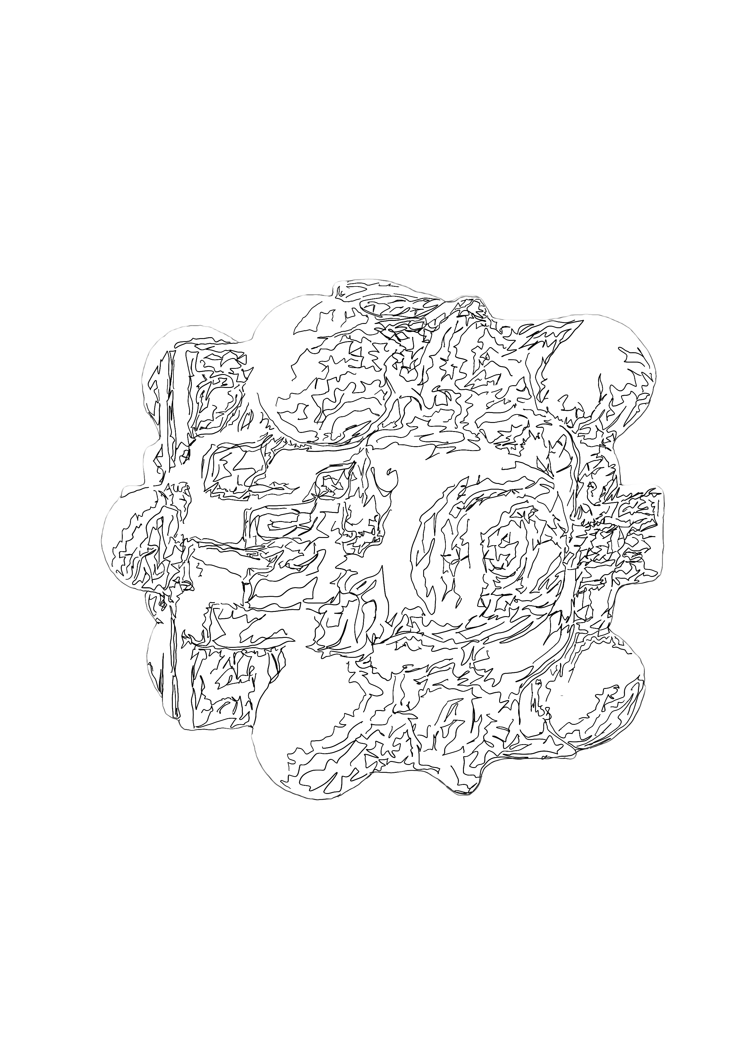 Untitled_Artwork 2.png